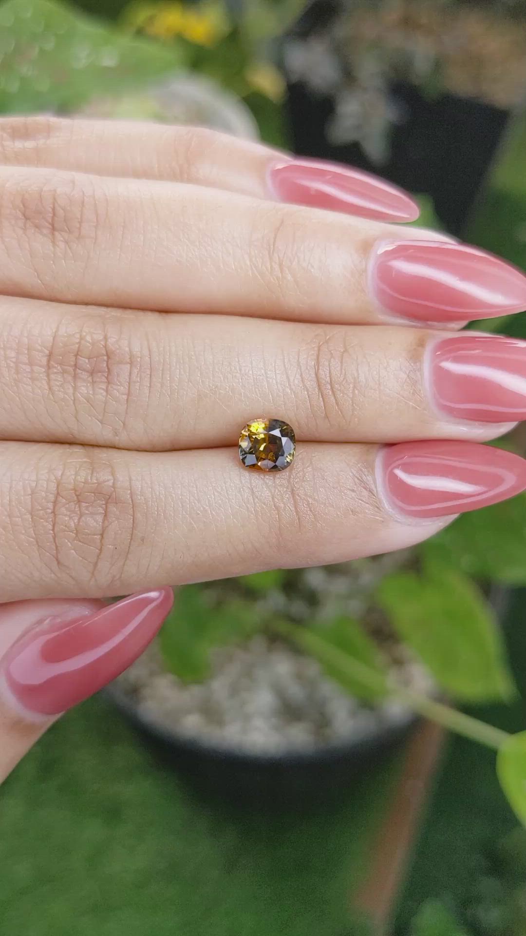 1.27 Ct. Bi Color Sapphire from Ceylon (Sri Lanka) Size Video