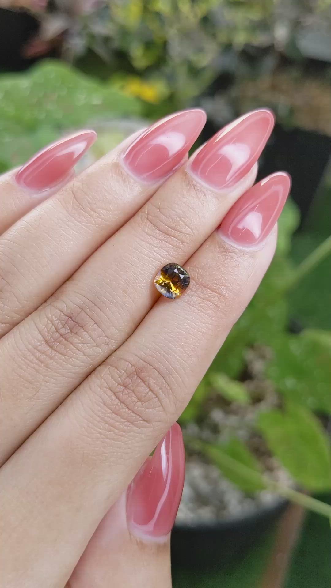 1.27 Ct. Bi Color Sapphire from Ceylon (Sri Lanka) Size Video