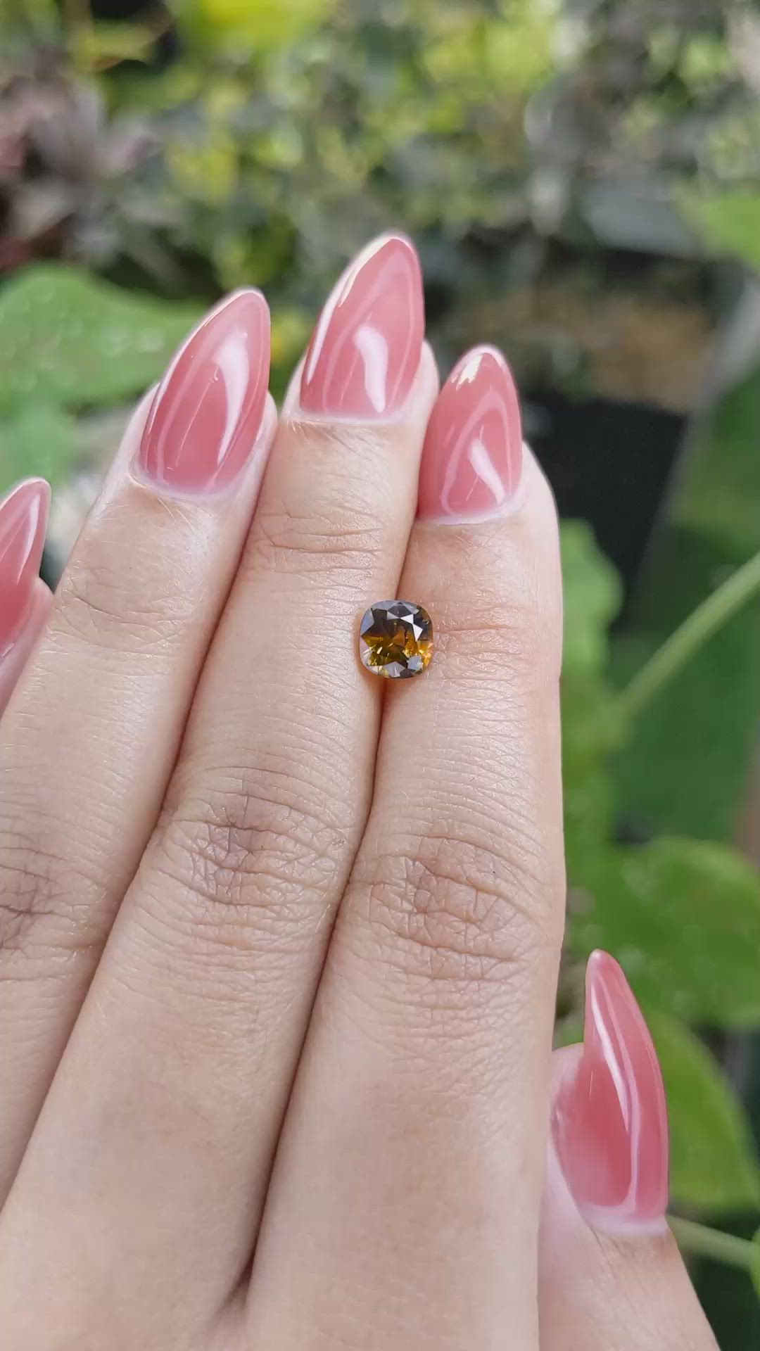 1.27 Ct. Bi Color Sapphire from Ceylon (Sri Lanka) Size Video