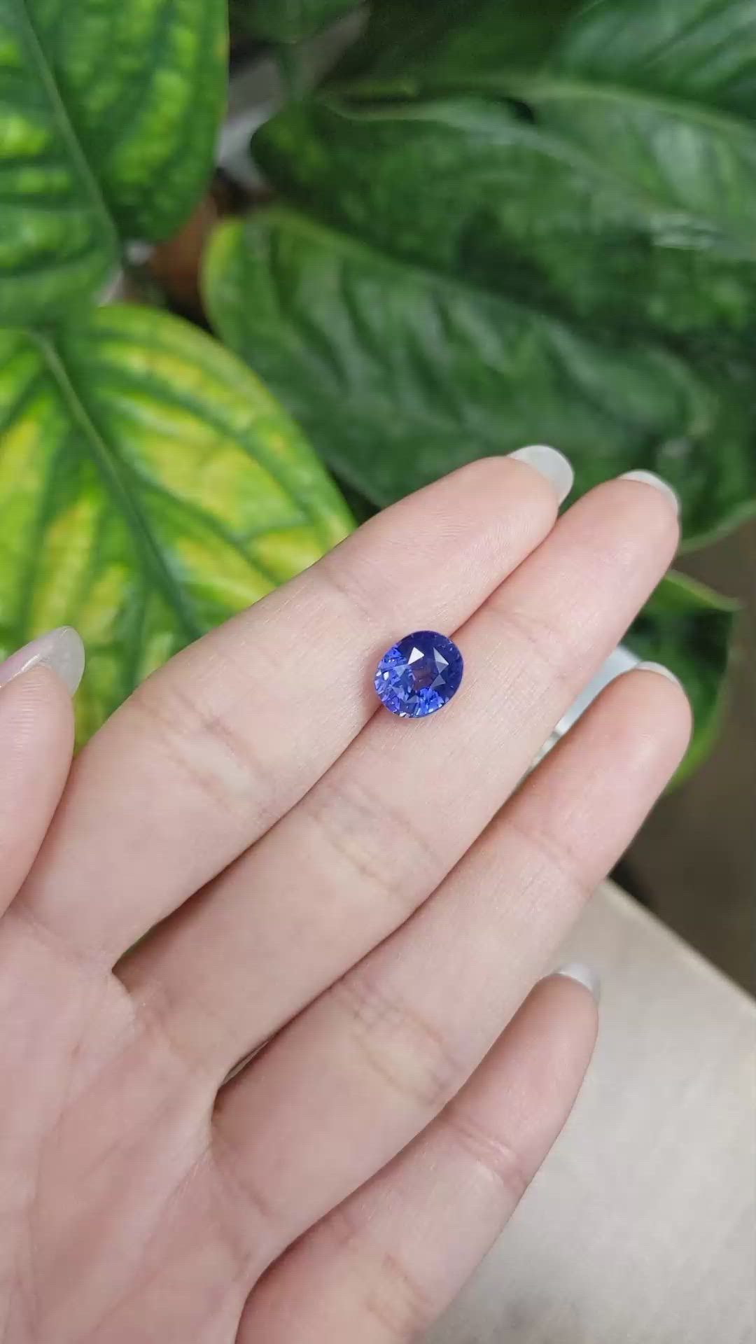 4.02 Ct. Blue Sapphire from Ceylon (Sri Lanka) Size Video