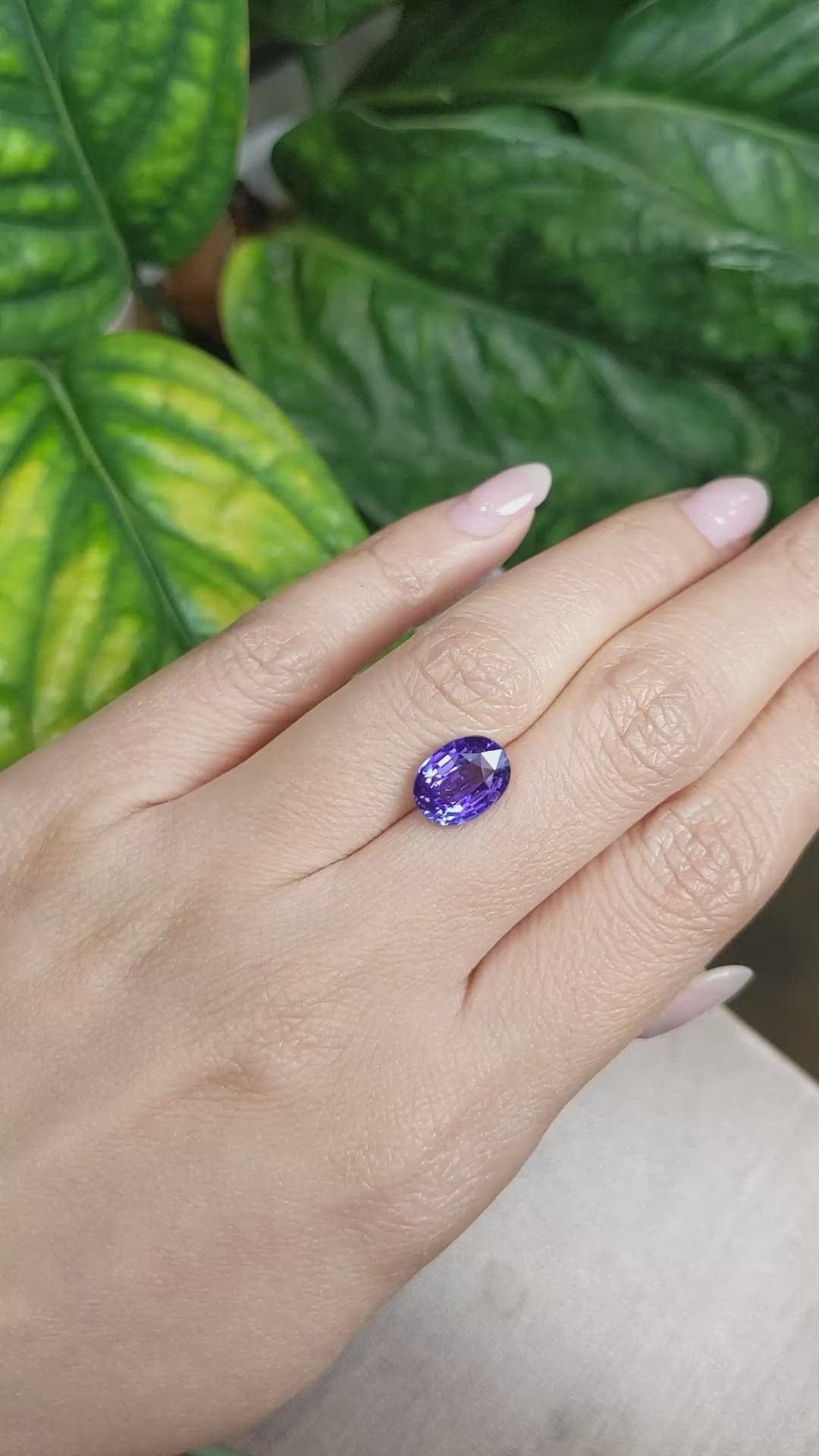 4.01 Ct. Purple Sapphire from Ceylon (Sri Lanka) Size Video