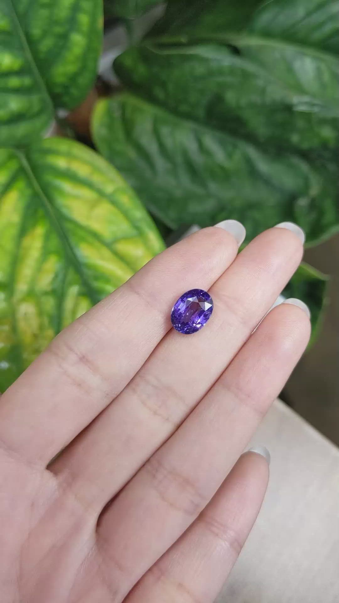 4.01 Ct. Purple Sapphire from Ceylon (Sri Lanka) Size Video