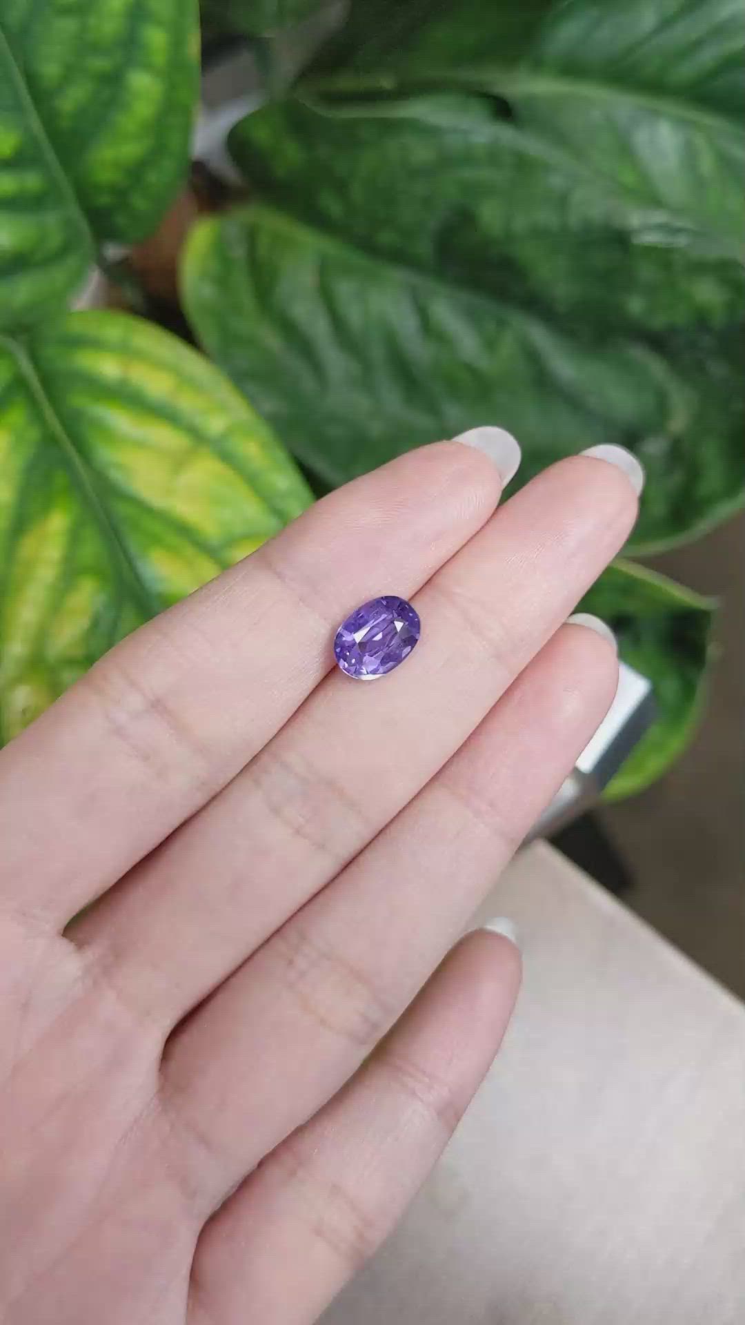 2.61 Ct. Purple Sapphire from Ceylon (Sri Lanka) Size Video