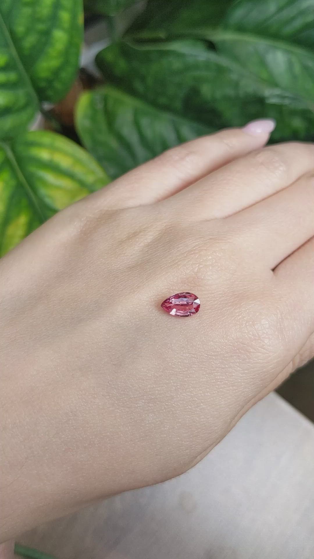 1.52 Ct. Padparadscha Sapphire from Ceylon (Sri Lanka) Size Video