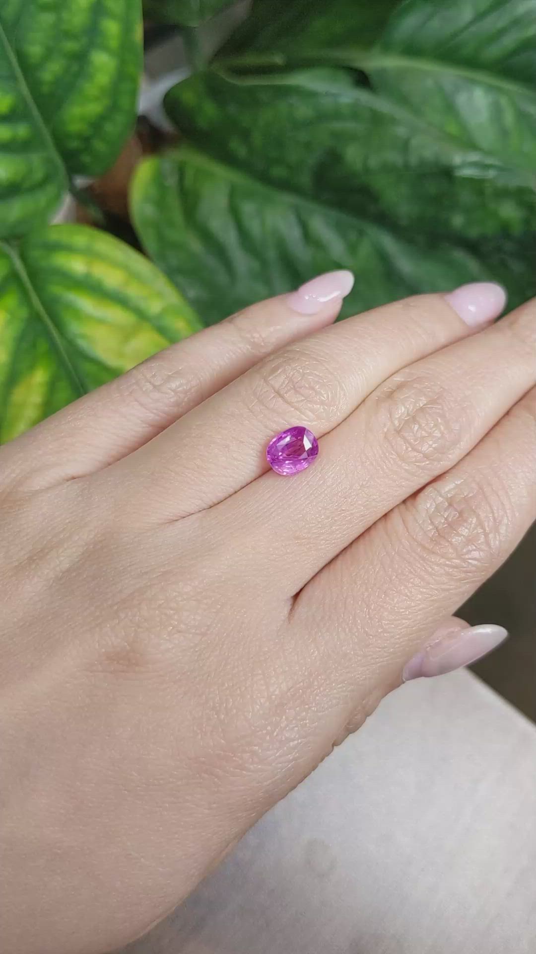 2.04 Ct. Pink Sapphire from Ceylon (Sri Lanka) Size Video