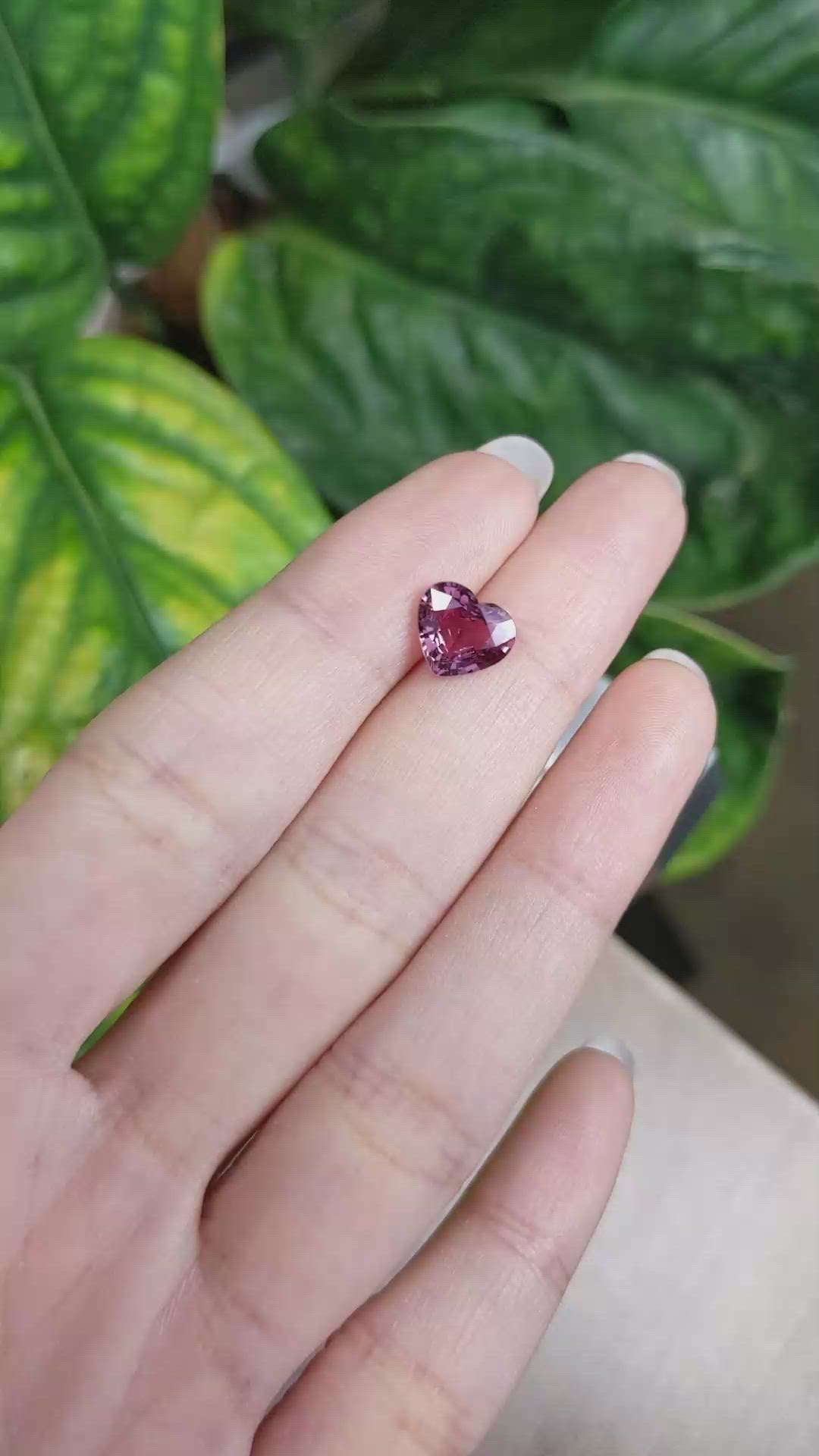 2.33 Ct. Reddish Pink Sapphire from Ceylon (Sri Lanka) Size Video