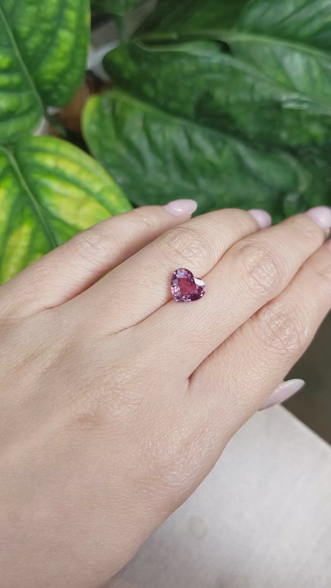 2.33 Ct. Reddish Pink Sapphire from Ceylon (Sri Lanka) Size Video