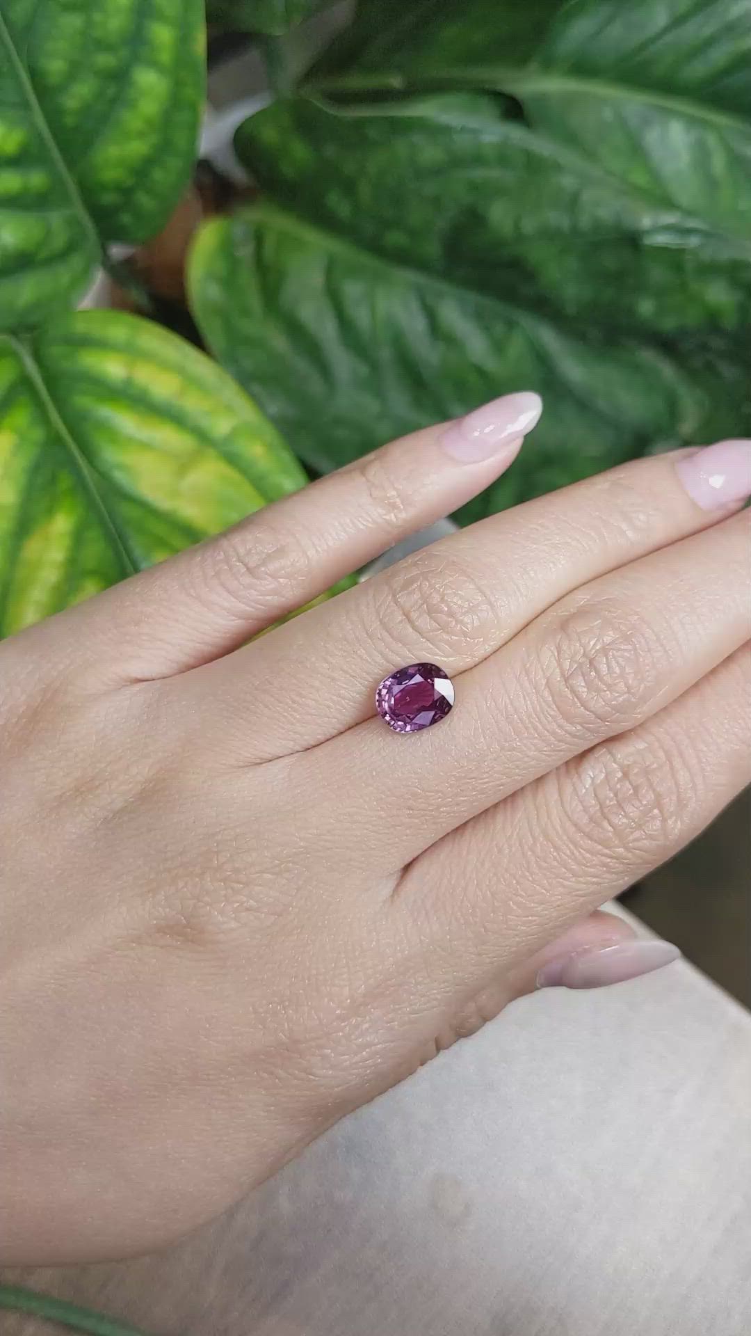 2.68 Ct. Purplish Pink Sapphire from Ceylon (Sri Lanka) Size Video