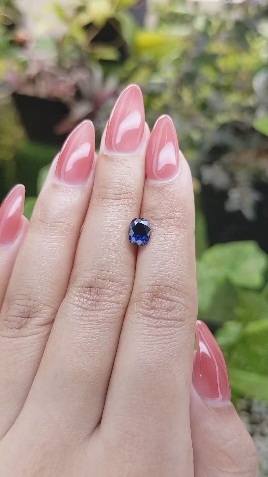 1.53 Ct. Blue Sapphire from Ceylon (Sri Lanka) Size Video