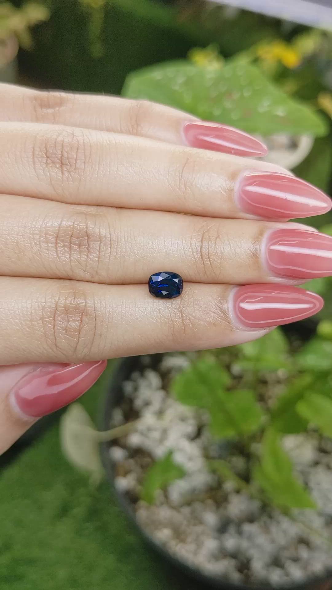 1.53 Ct. Blue Sapphire from Ceylon (Sri Lanka) Size Video