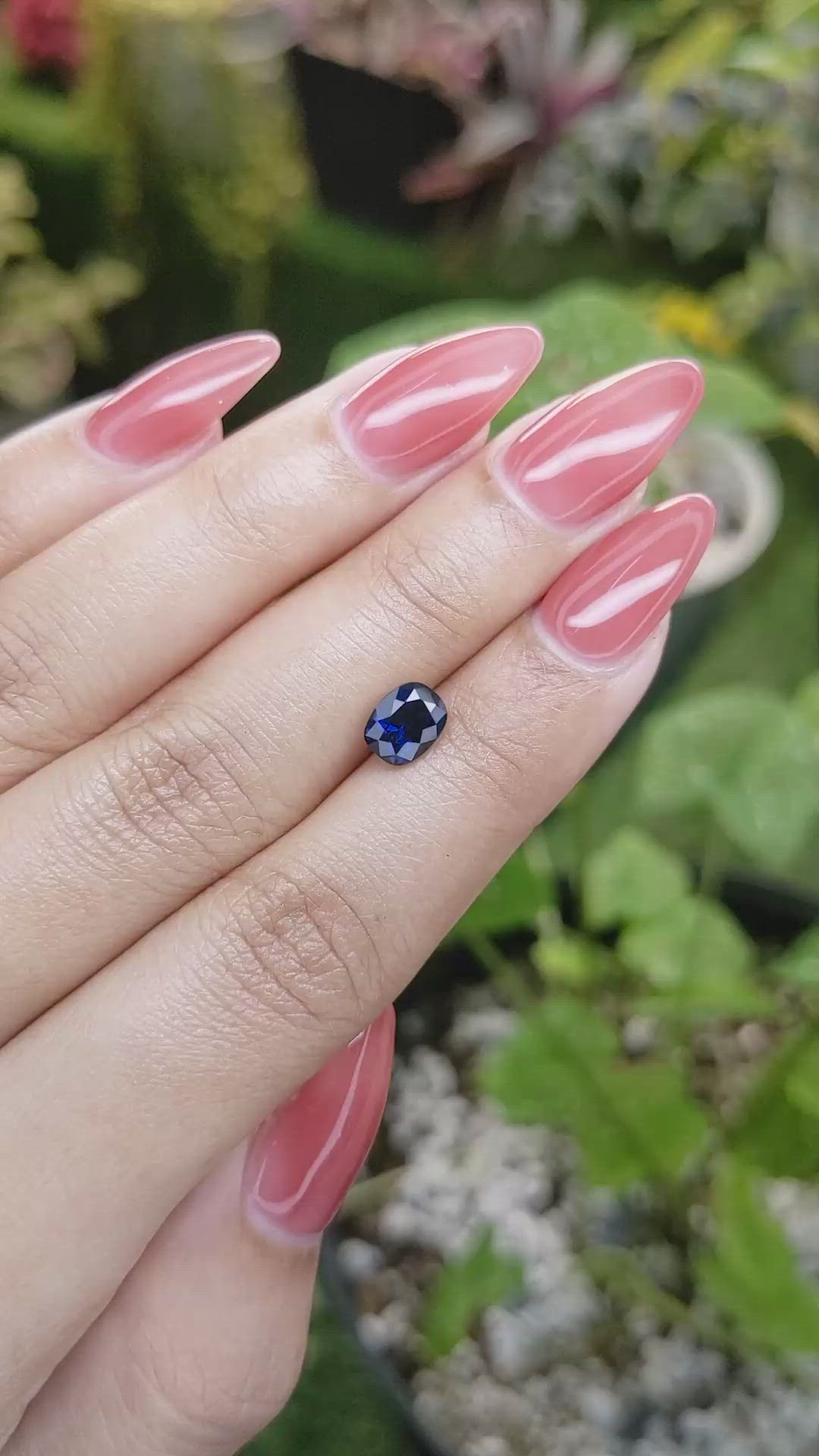 1.53 Ct. Blue Sapphire from Ceylon (Sri Lanka) Size Video