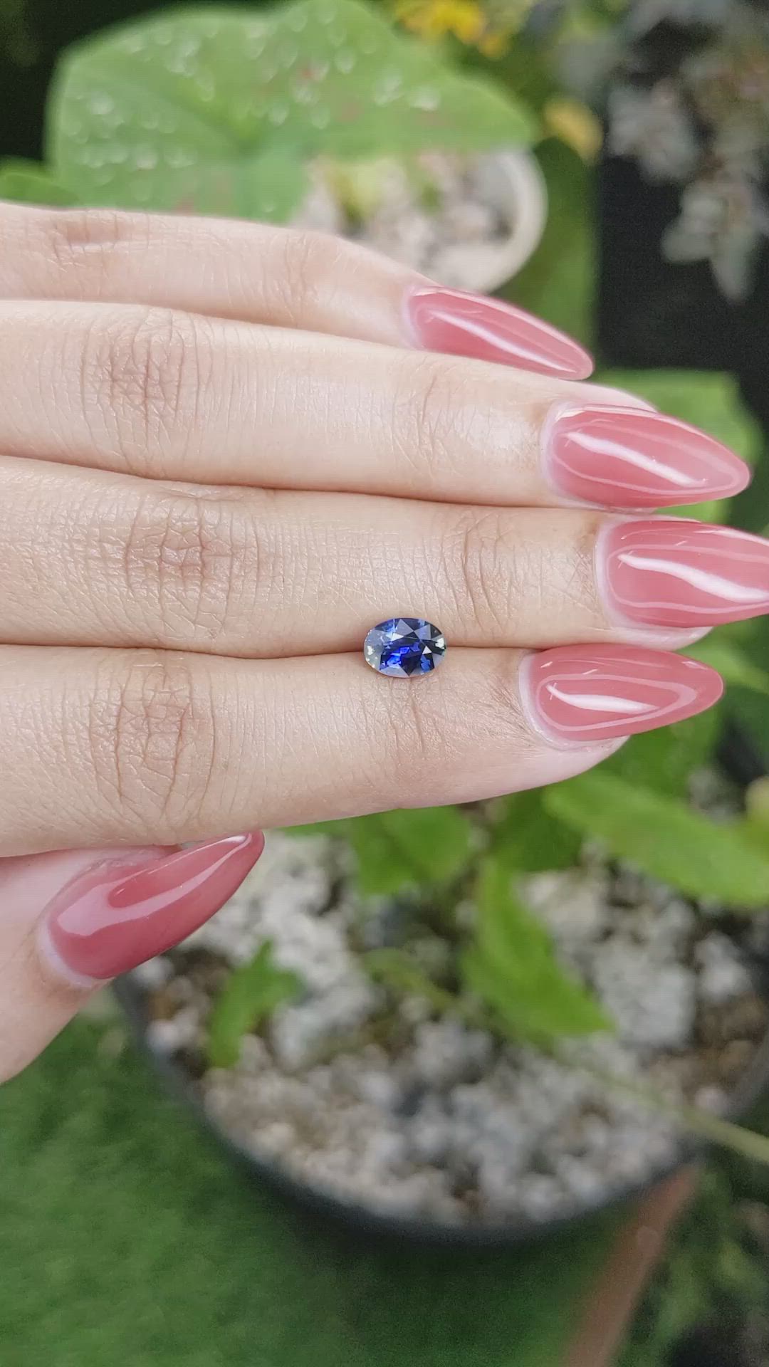 1.08 Ct. Bi Color Sapphire from Ceylon (Sri Lanka) Size Video