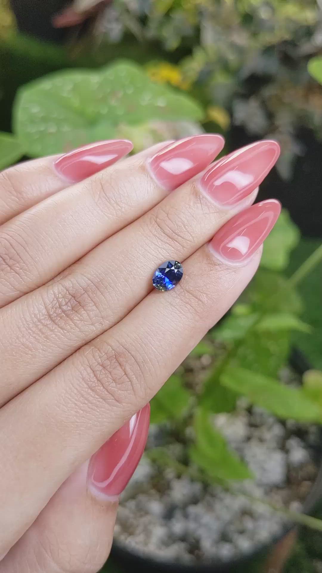 1.08 Ct. Bi Color Sapphire from Ceylon (Sri Lanka) Size Video