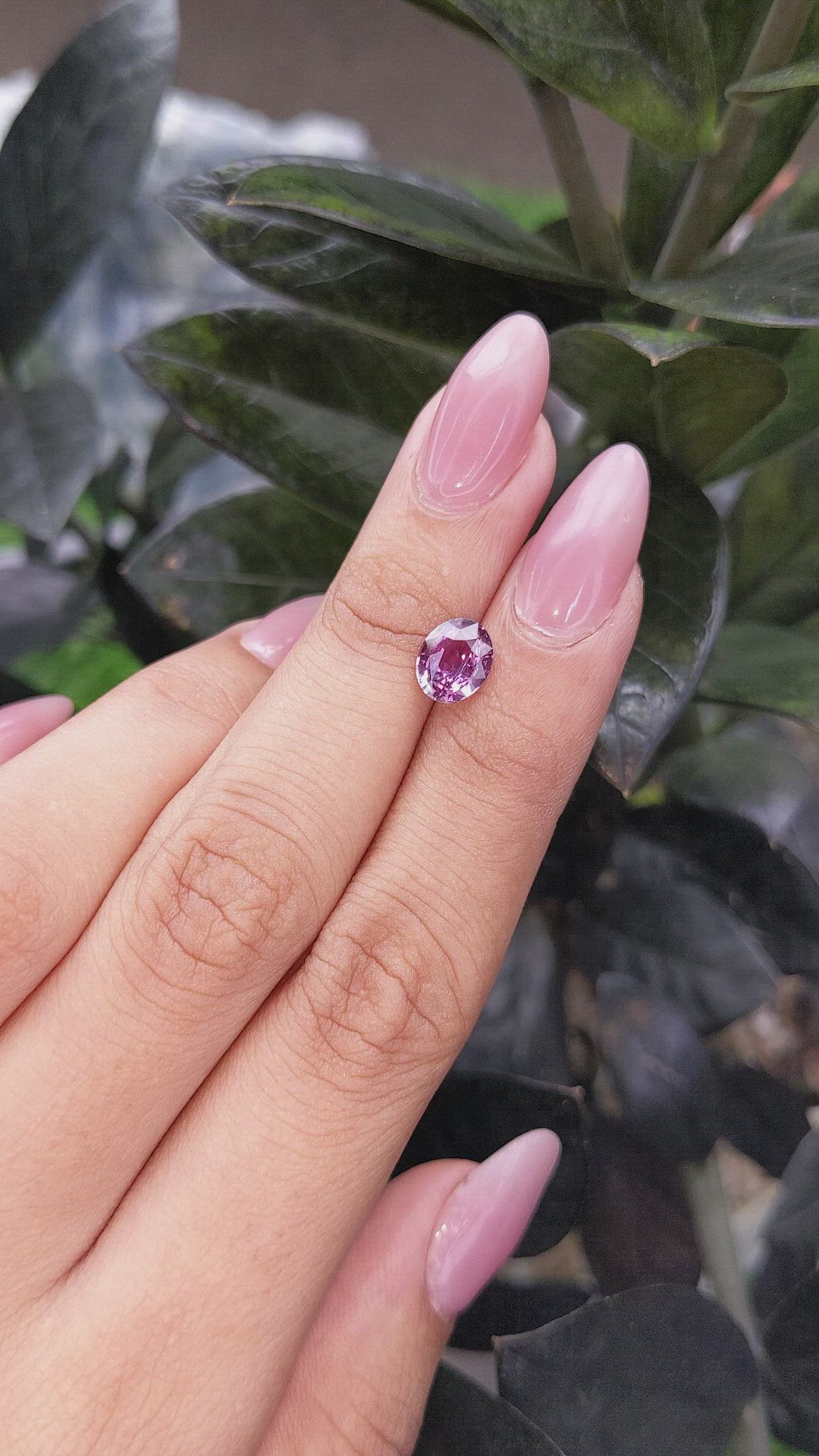 1.69 Ct. Pinkish Purple Sapphire from Madagascar Size Video