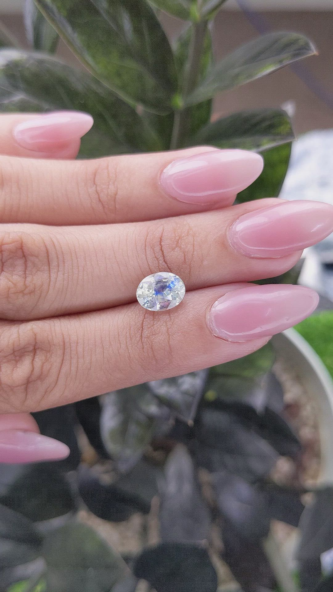 2.26 Ct. Bi Color Sapphire from Madagascar Size Video