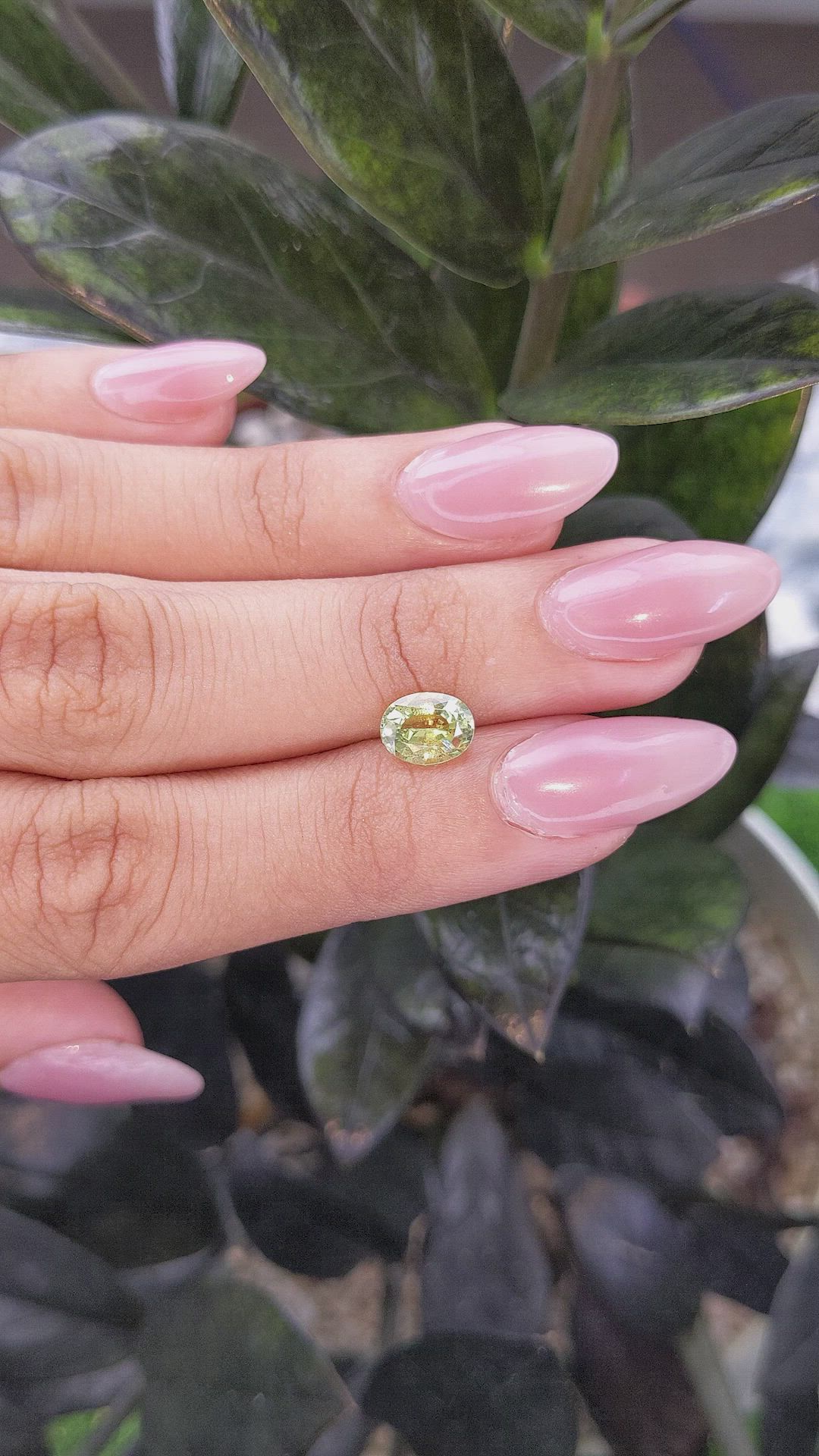 1.46 Ct. Yellowish Green Sapphire from Madagascar Size Video