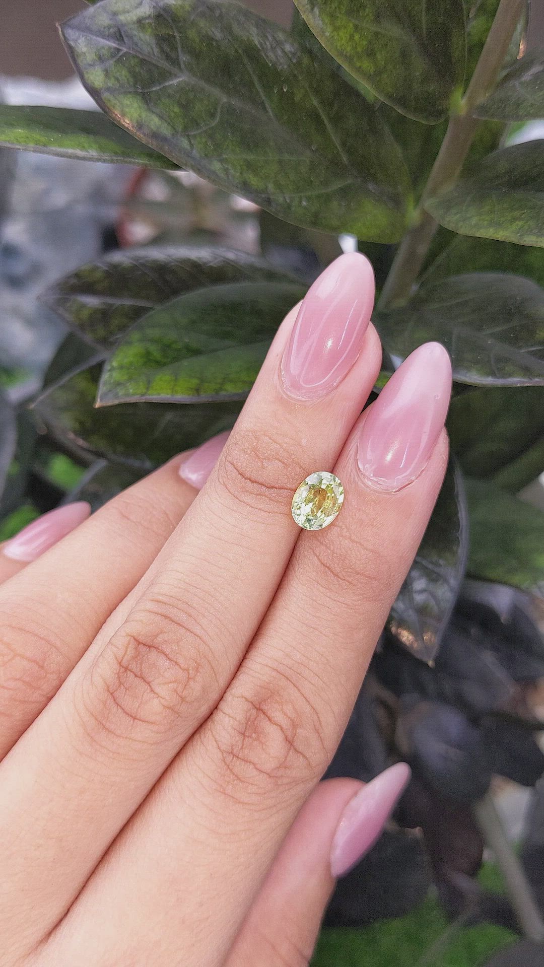 1.46 Ct. Yellowish Green Sapphire from Madagascar Size Video