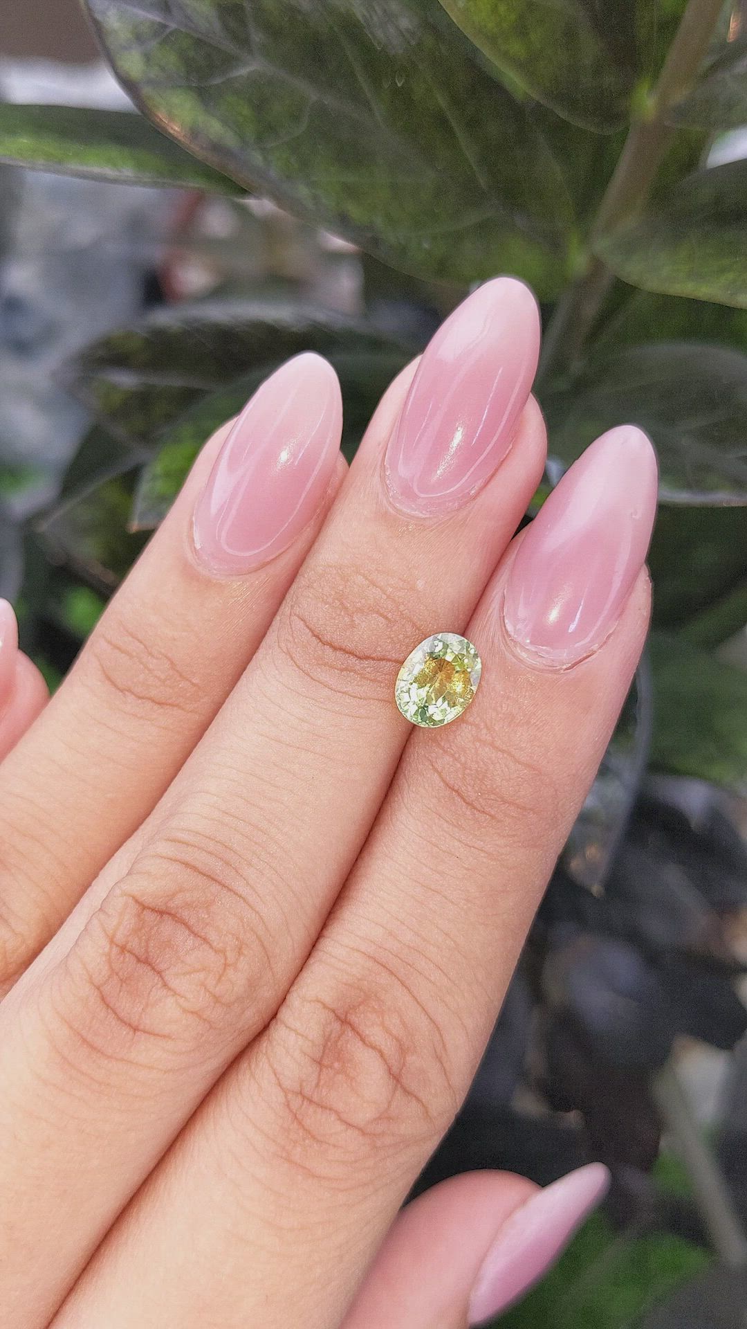 1.46 Ct. Yellowish Green Sapphire from Madagascar Size Video