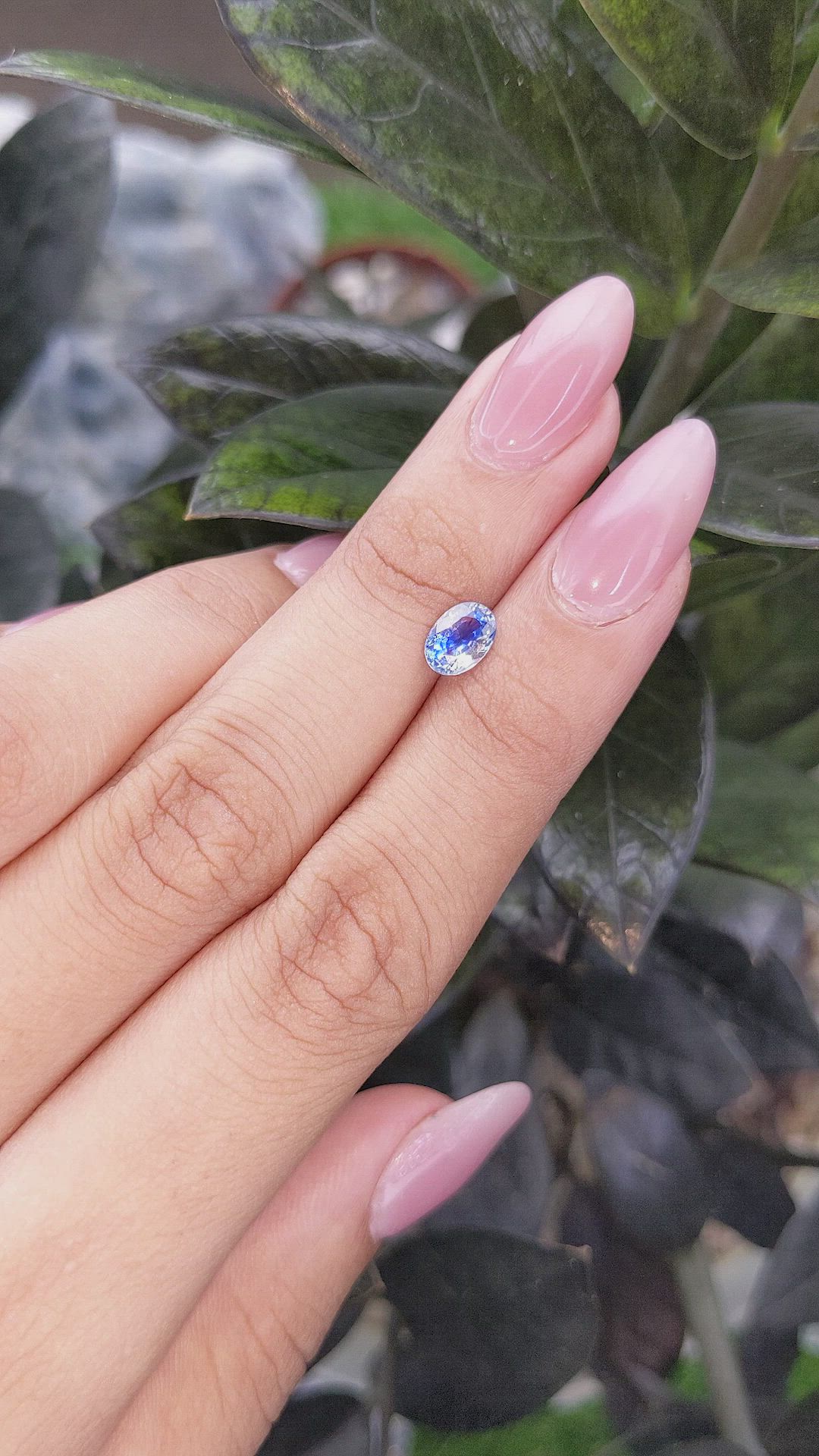 1.06 Ct. Bi Color Sapphire from Ceylon (Sri Lanka) Size Video