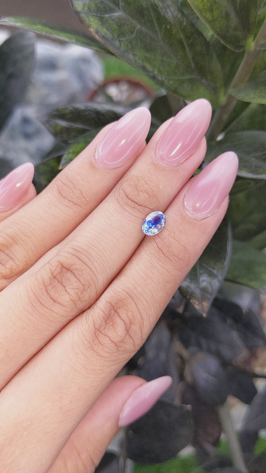 1.06 Ct. Bi Color Sapphire from Ceylon (Sri Lanka) Size Video