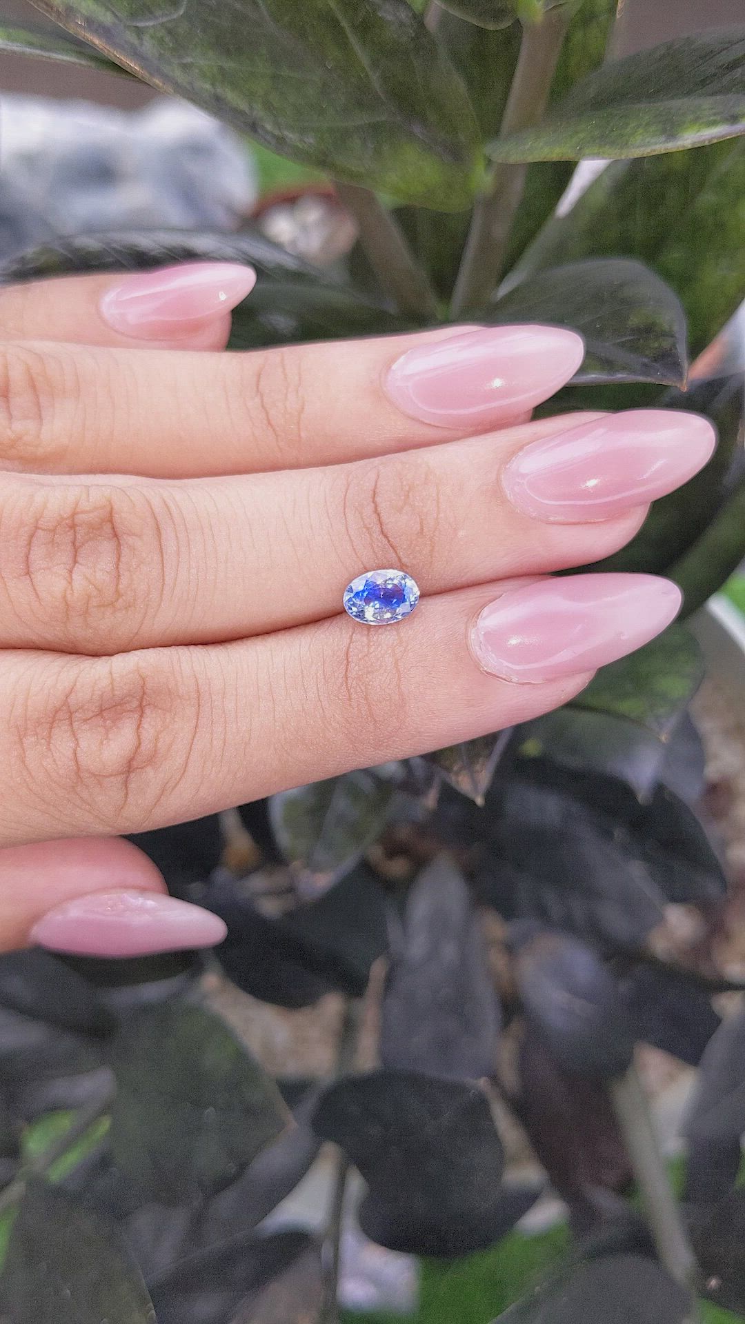 1.06 Ct. Bi Color Sapphire from Ceylon (Sri Lanka) Size Video
