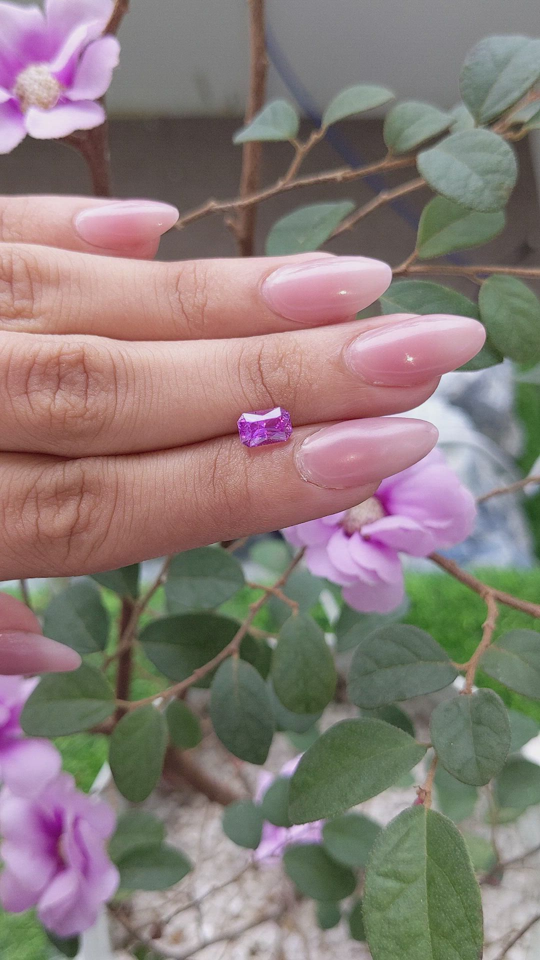 1.55 Ct. Purple Sapphire from Madagascar Size Video