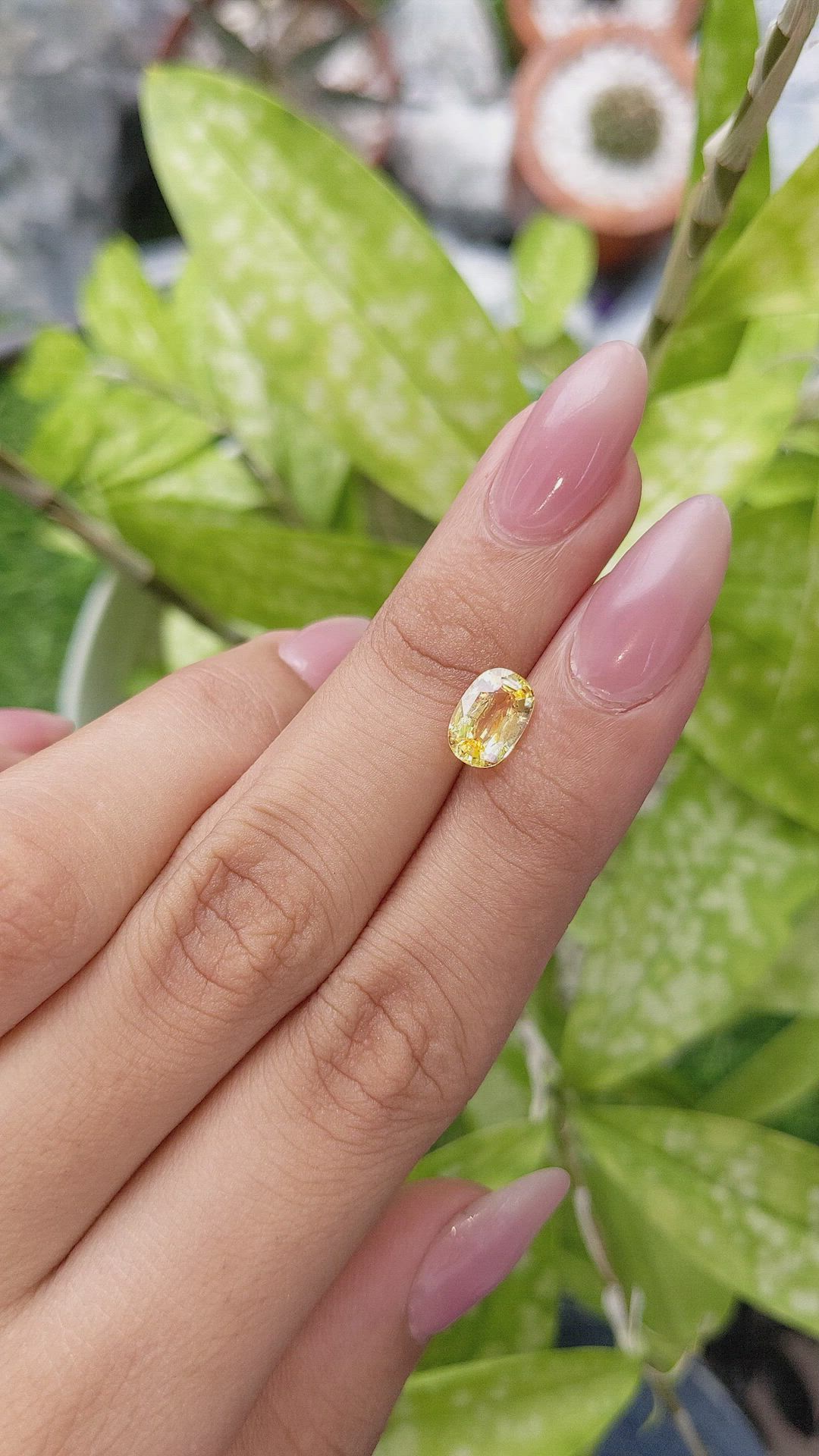 1.79 Ct. Yellow Sapphire from Ceylon (Sri Lanka) Size Video