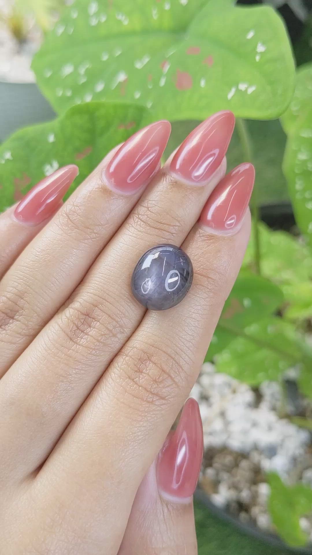 12.35 Ct. Greyish Blue Star Sapphire from Ceylon (Sri Lanka) Size Video