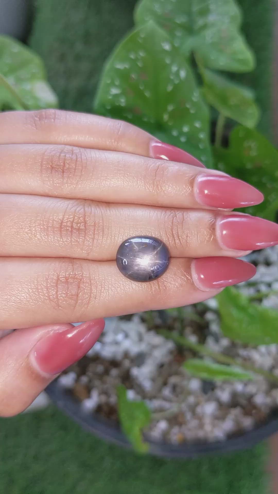 12.35 Ct. Greyish Blue Star Sapphire from Ceylon (Sri Lanka) Size Video