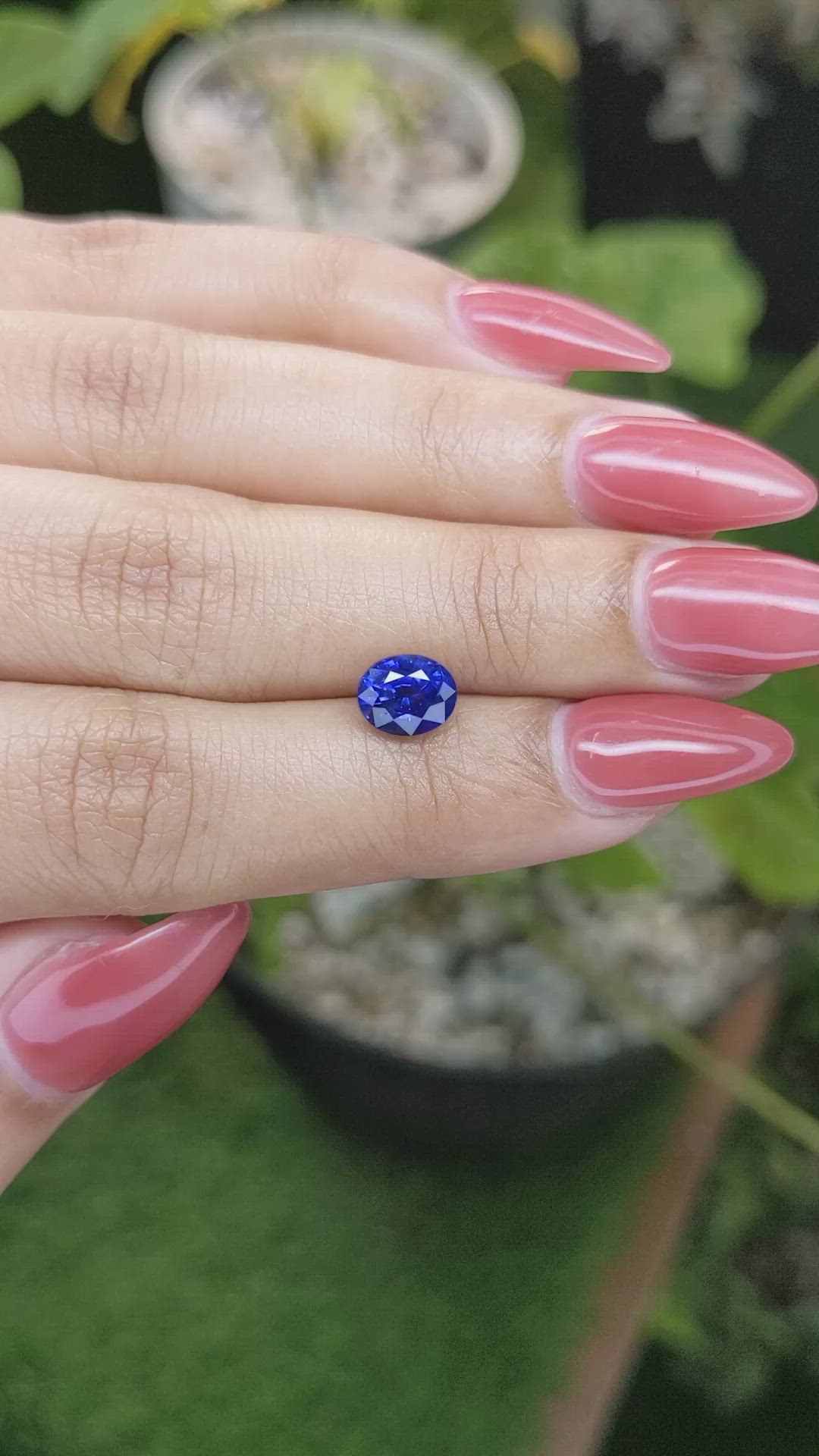 1.65 Ct. Blue Sapphire from Ceylon (Sri Lanka) Size Video