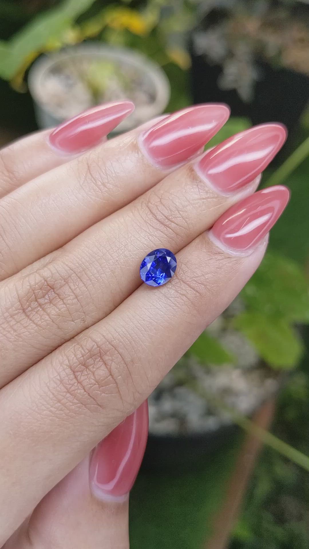 1.65 Ct. Blue Sapphire from Ceylon (Sri Lanka) Size Video