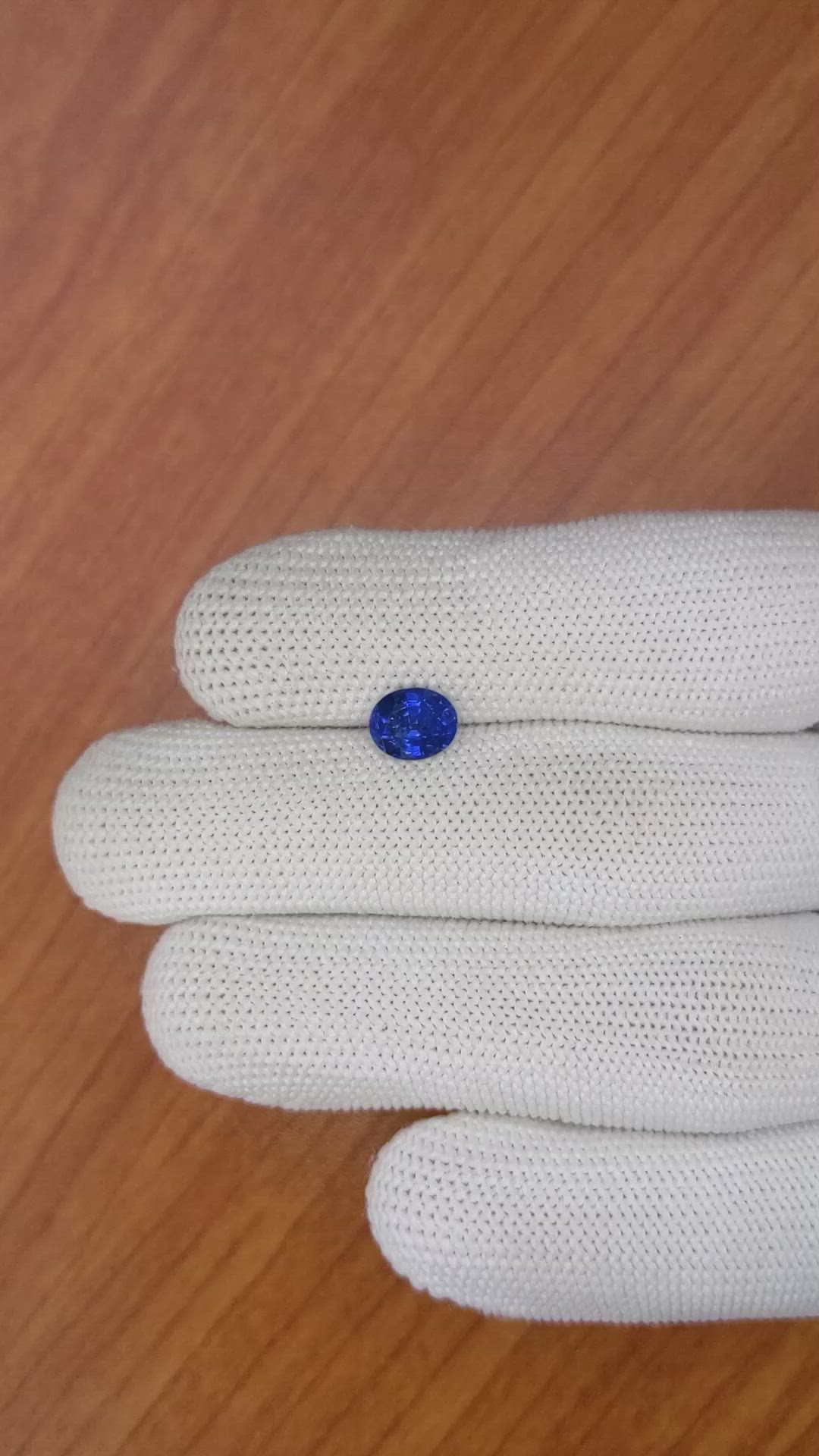 1.65 Ct. Blue Sapphire from Ceylon (Sri Lanka) Size Video