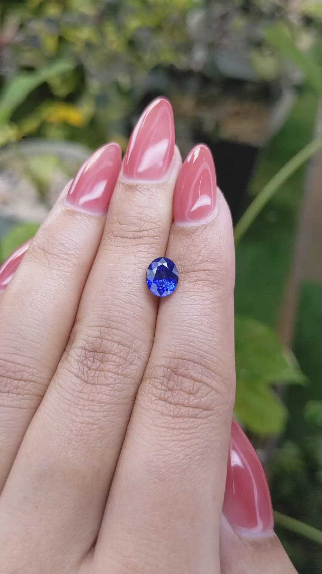 1.65 Ct. Blue Sapphire from Ceylon (Sri Lanka) Size Video