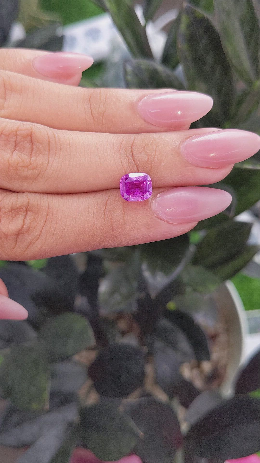 3.06 Ct. Pink Sapphire from Madagascar Size Video