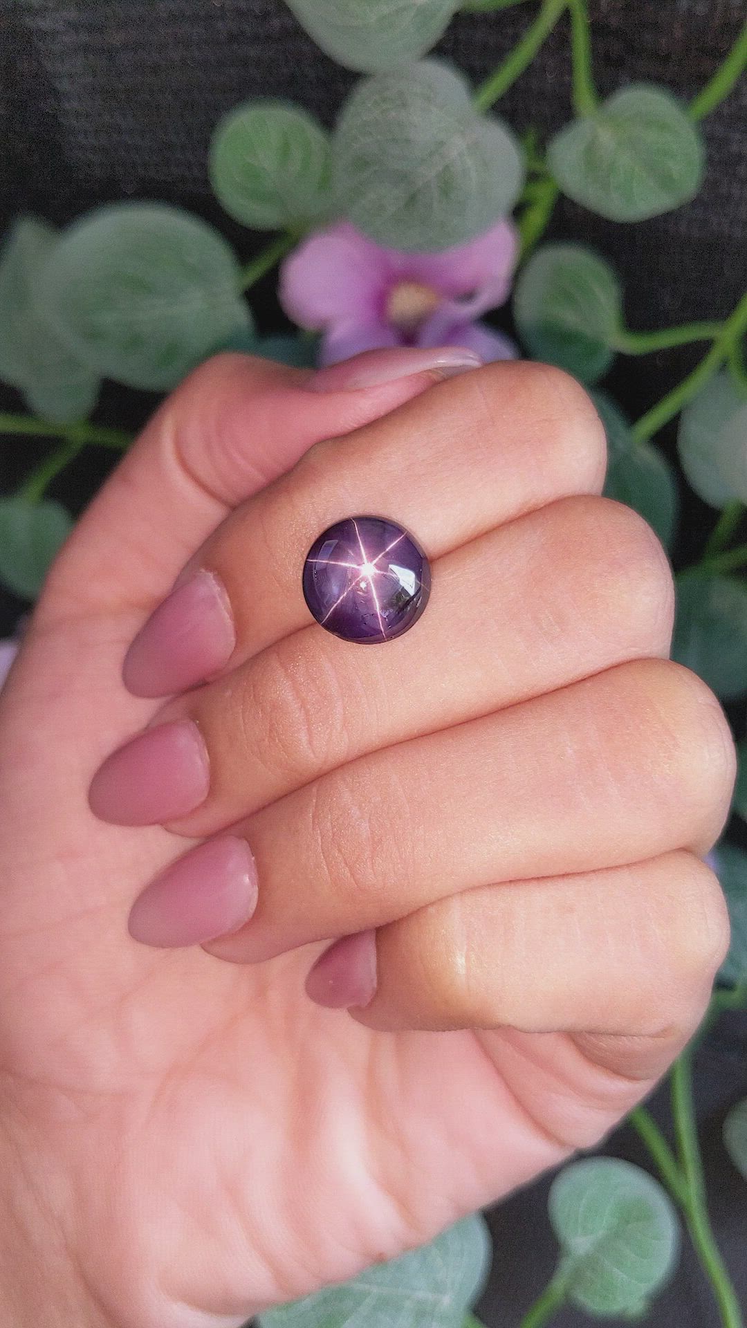 9.21 Ct. Purple Star Sapphire from Ceylon (Sri Lanka) Size Video