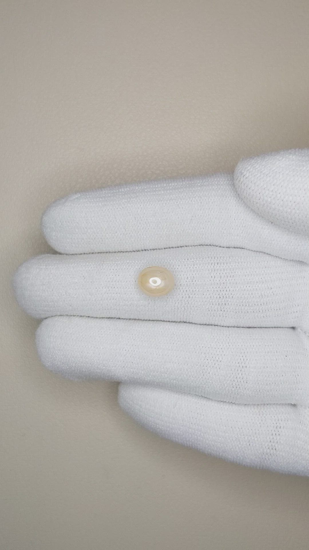 2.77 Ct. Yellow Star Sapphire from Burma (Myanmar) Size Video