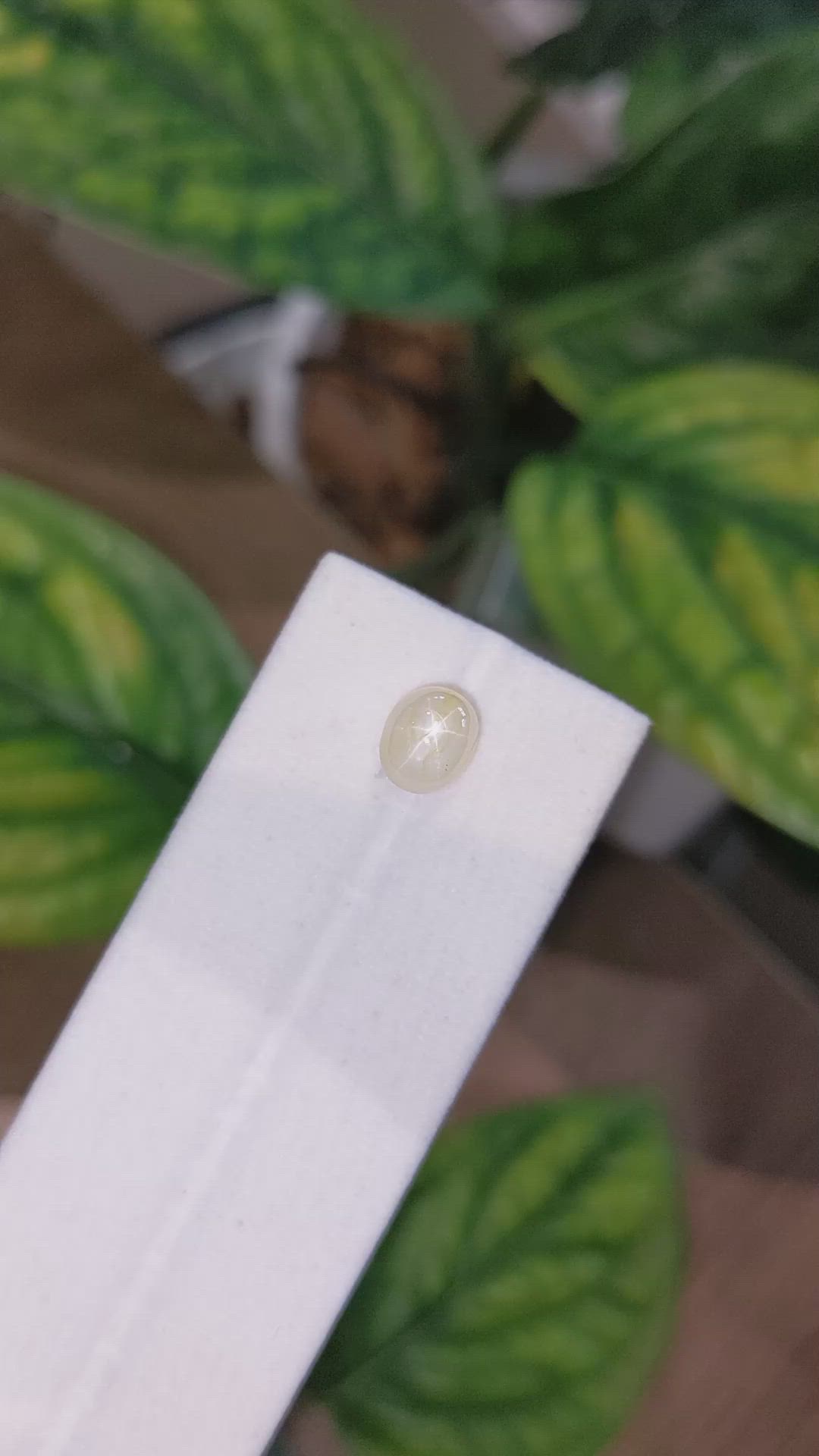 2.77 Ct. Yellow Star Sapphire from Burma (Myanmar) Size Video