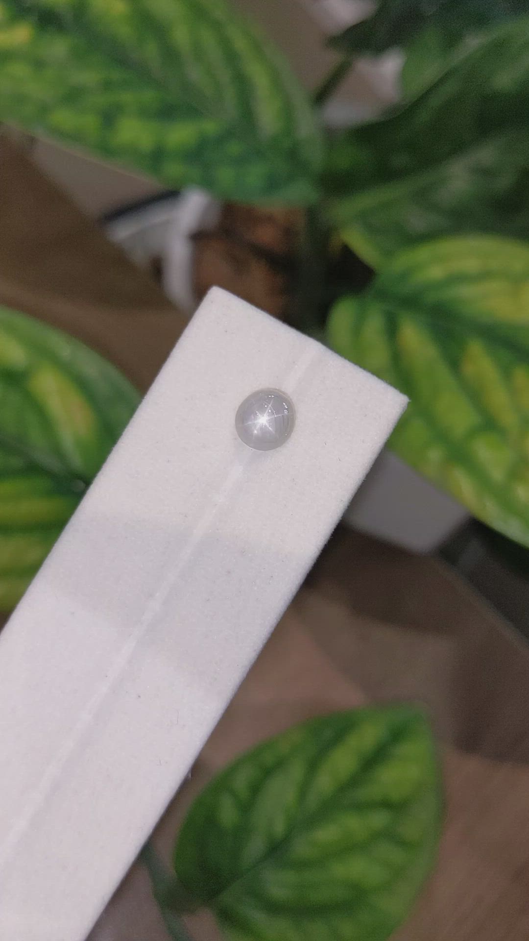 1.99 Ct. Grey Star Sapphire from Burma (Myanmar) Size Video