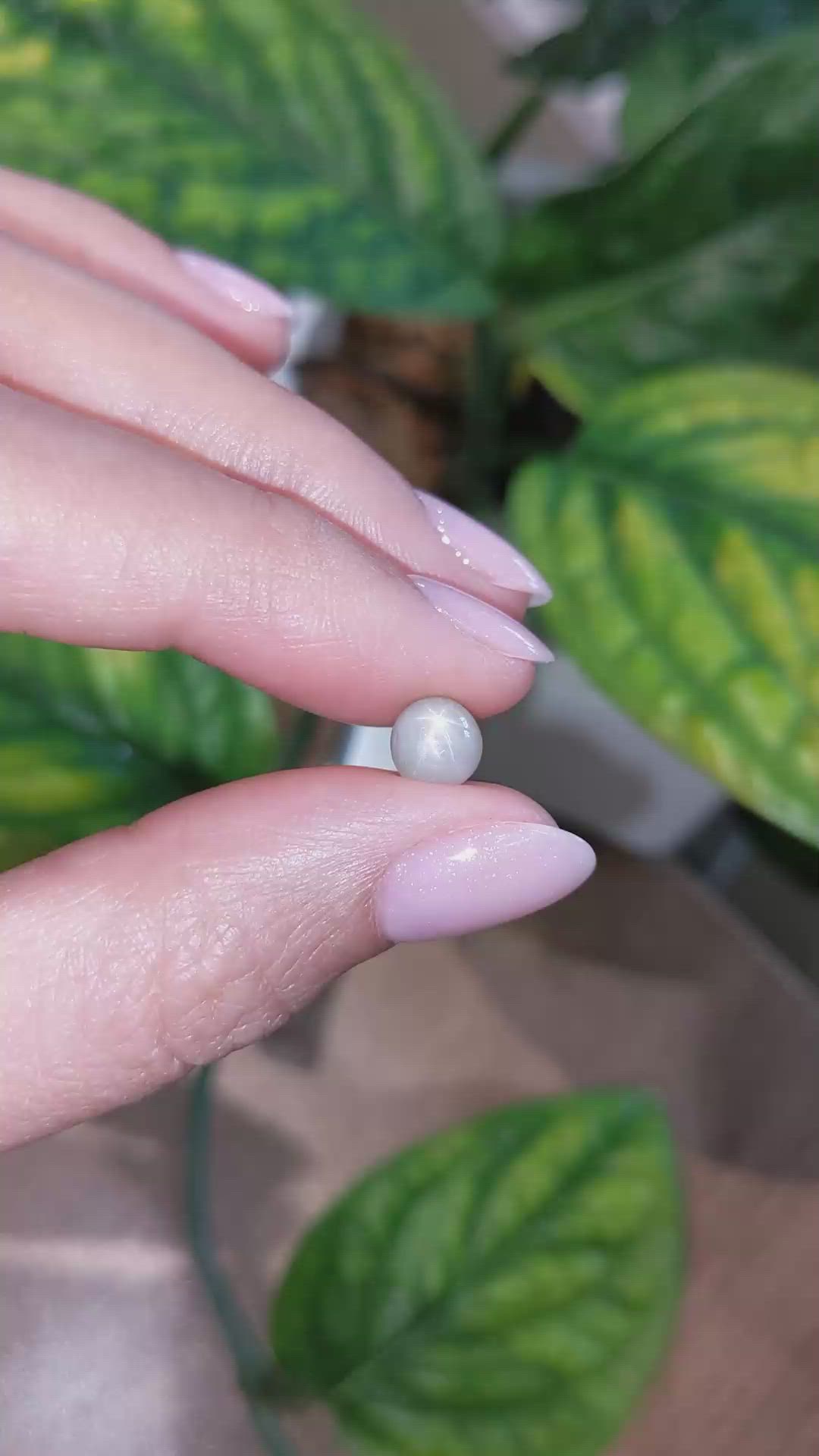 1.99 Ct. Grey Star Sapphire from Burma (Myanmar) Size Video