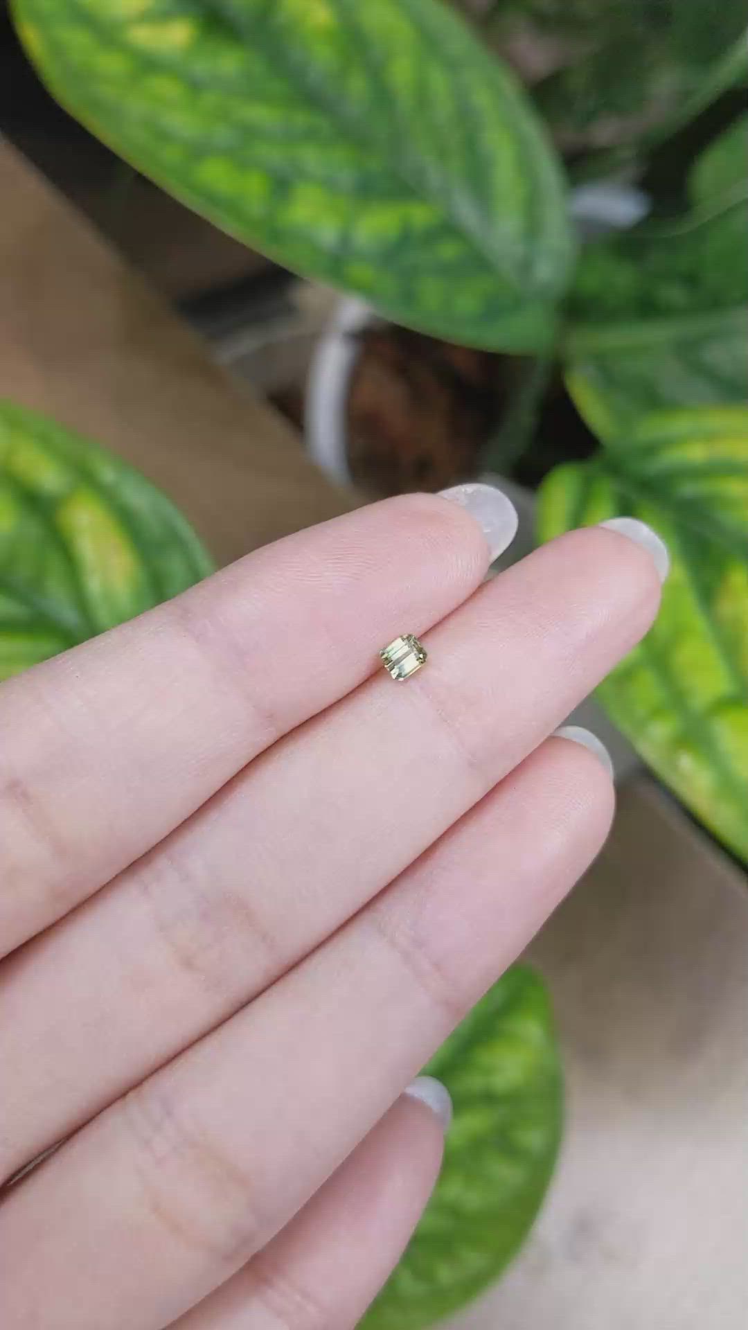 0.28 Ct. Bi Color Sapphire from Madagascar Size Video