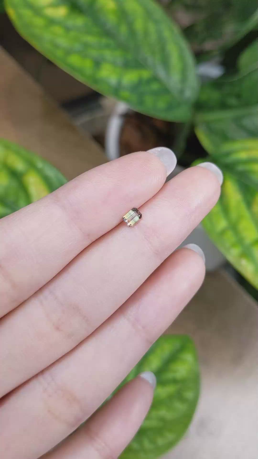 0.32 Ct. Bi Color Sapphire from Madagascar Size Video