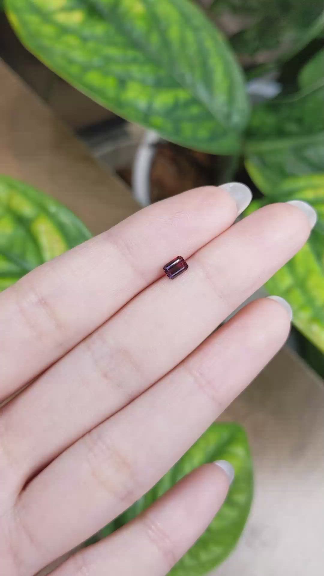 0.48 Ct. Bi Color Sapphire from Madagascar Size Video