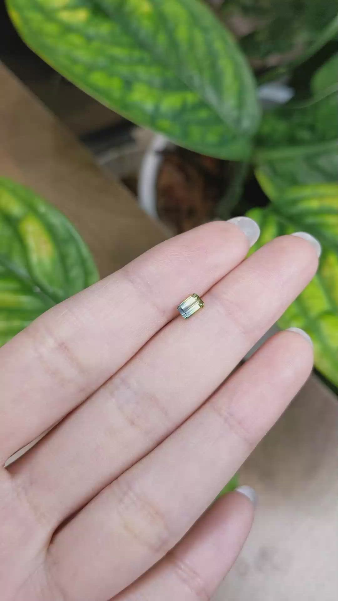 0.51 Ct. Bi Color Sapphire from Madagascar Size Video