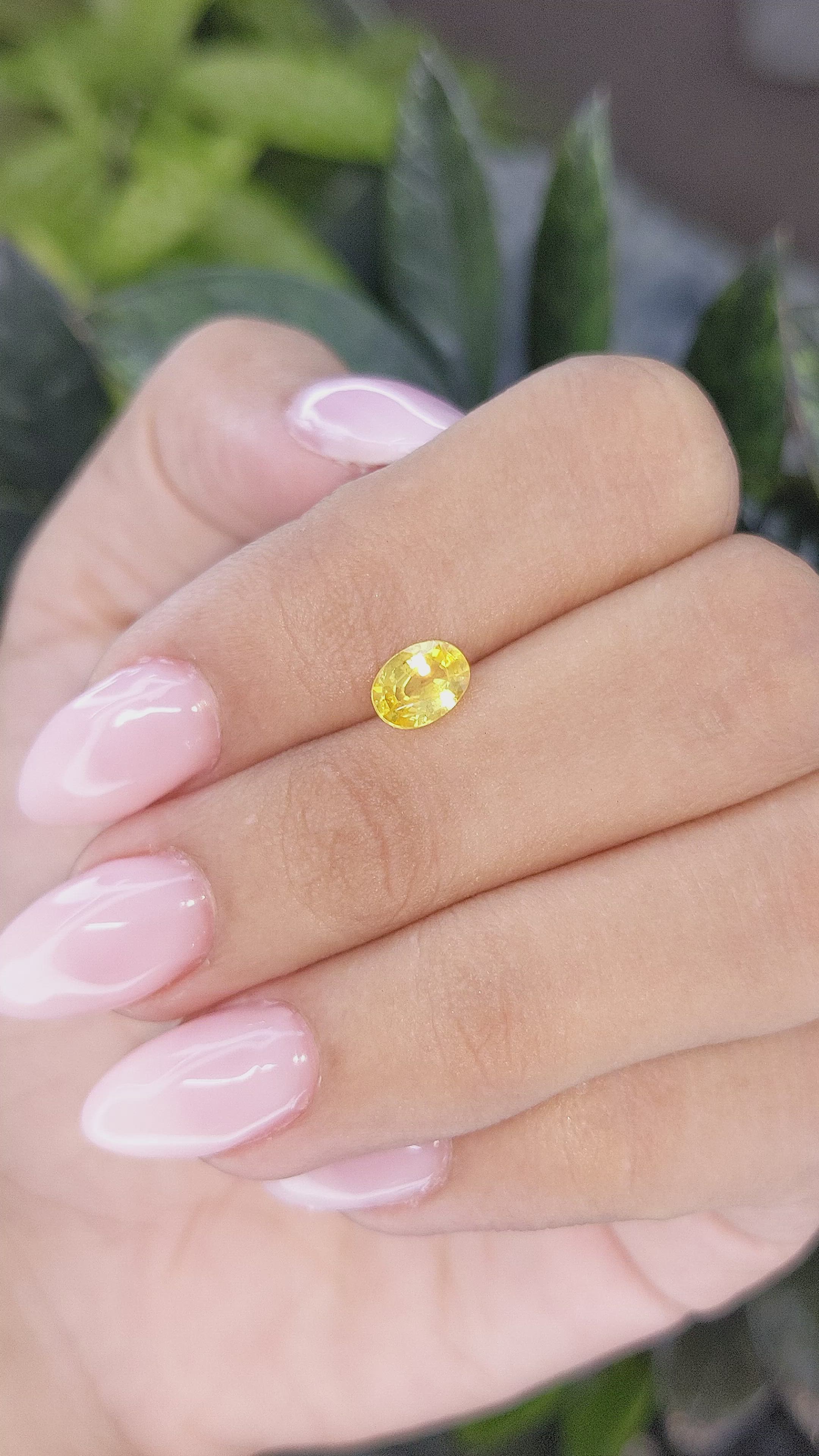 0.93 Ct. Yellow Sapphire from Ceylon (Sri Lanka) Size Video