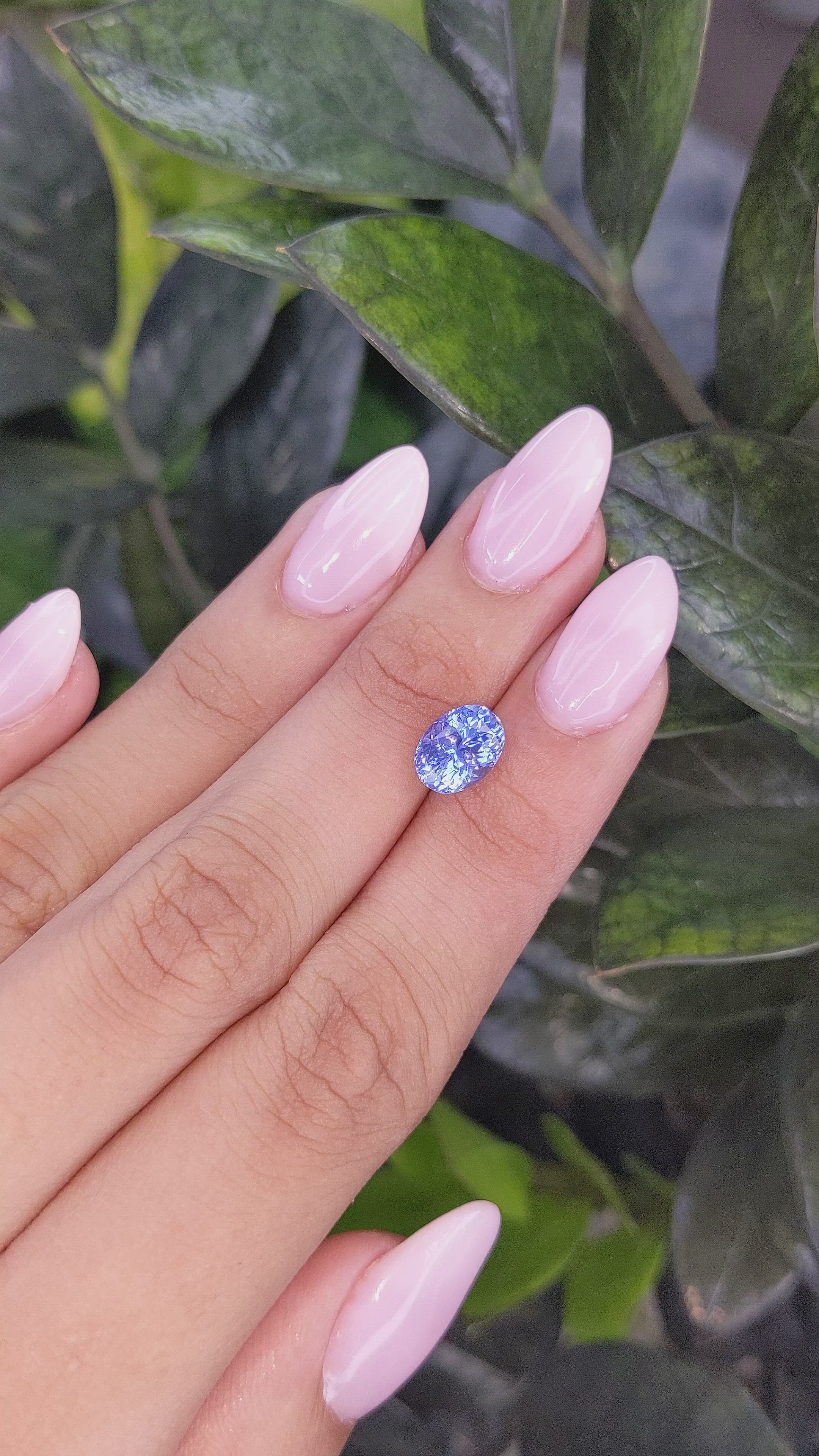 2.57 Ct. Blue Sapphire from Ceylon (Sri Lanka) Size Video