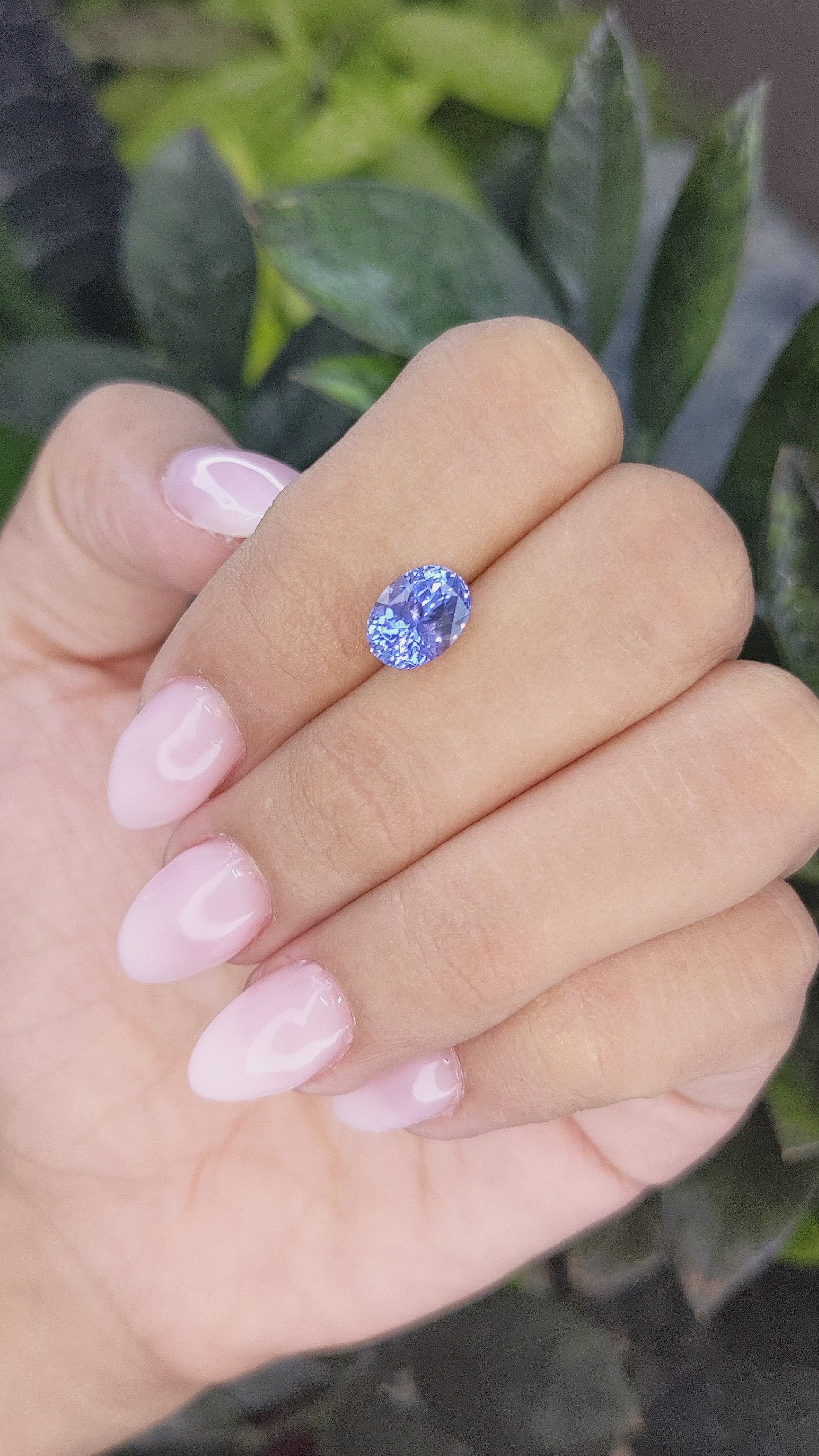 2.57 Ct. Blue Sapphire from Ceylon (Sri Lanka) Size Video