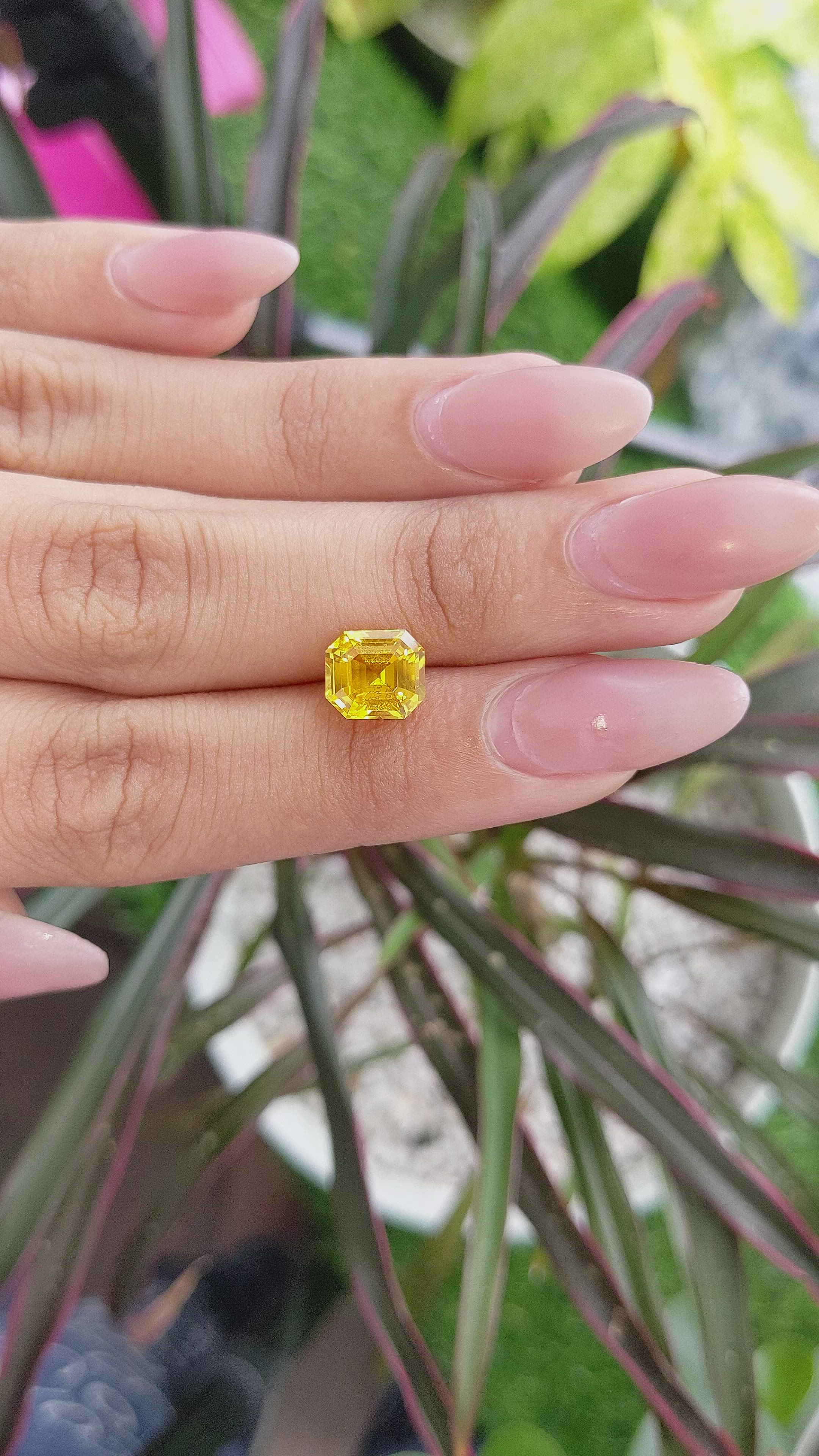 2.84 Ct. Yellow Sapphire from Ceylon (Sri Lanka) Size Video