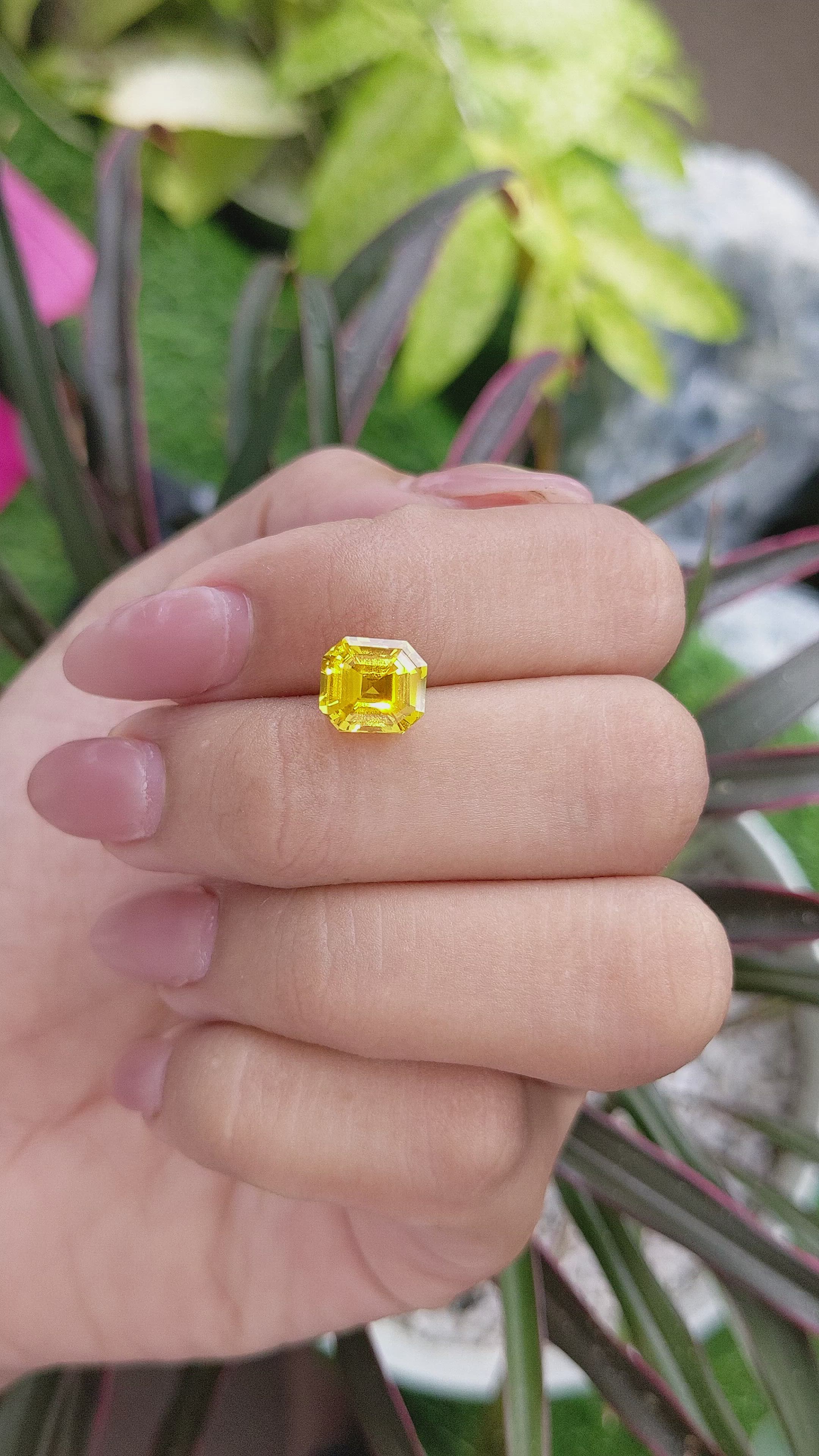 2.84 Ct. Yellow Sapphire from Ceylon (Sri Lanka) Size Video