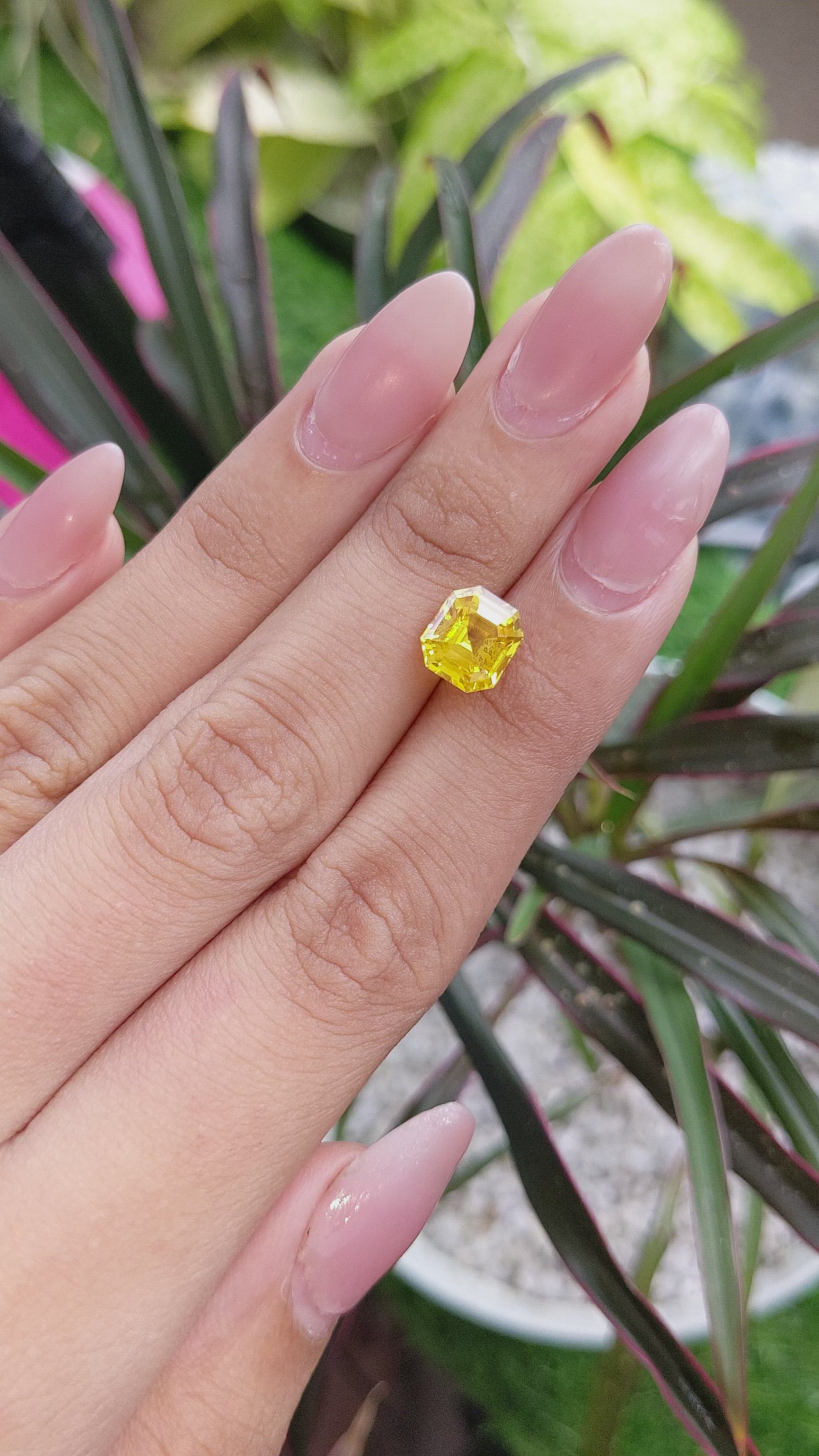2.84 Ct. Yellow Sapphire from Ceylon (Sri Lanka) Size Video