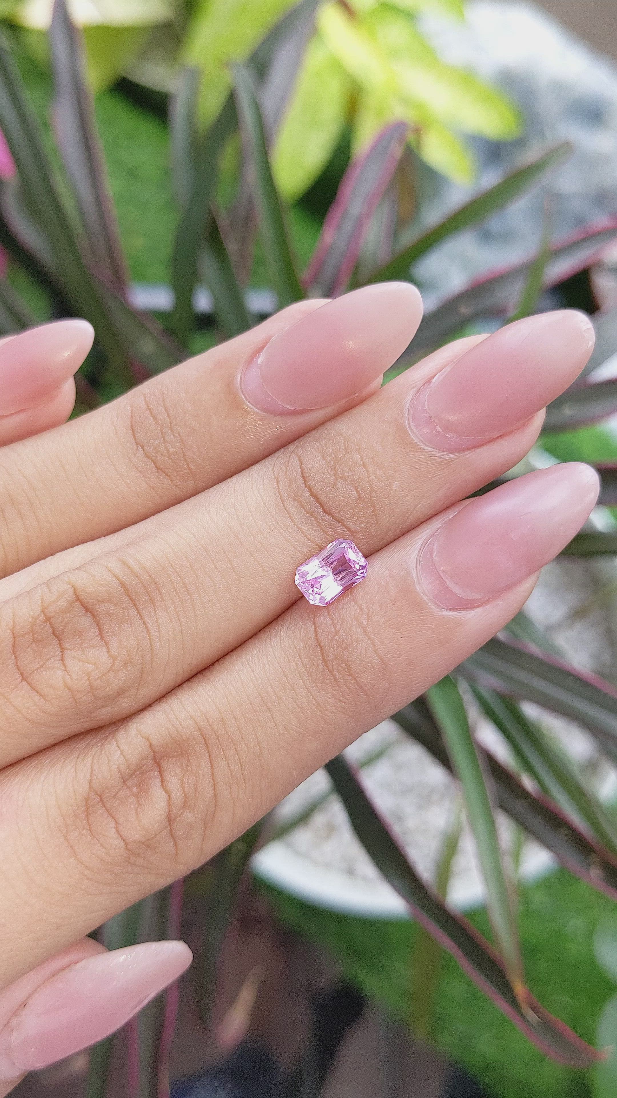 1.19 Ct. Pink Sapphire from Ceylon (Sri Lanka) Size Video